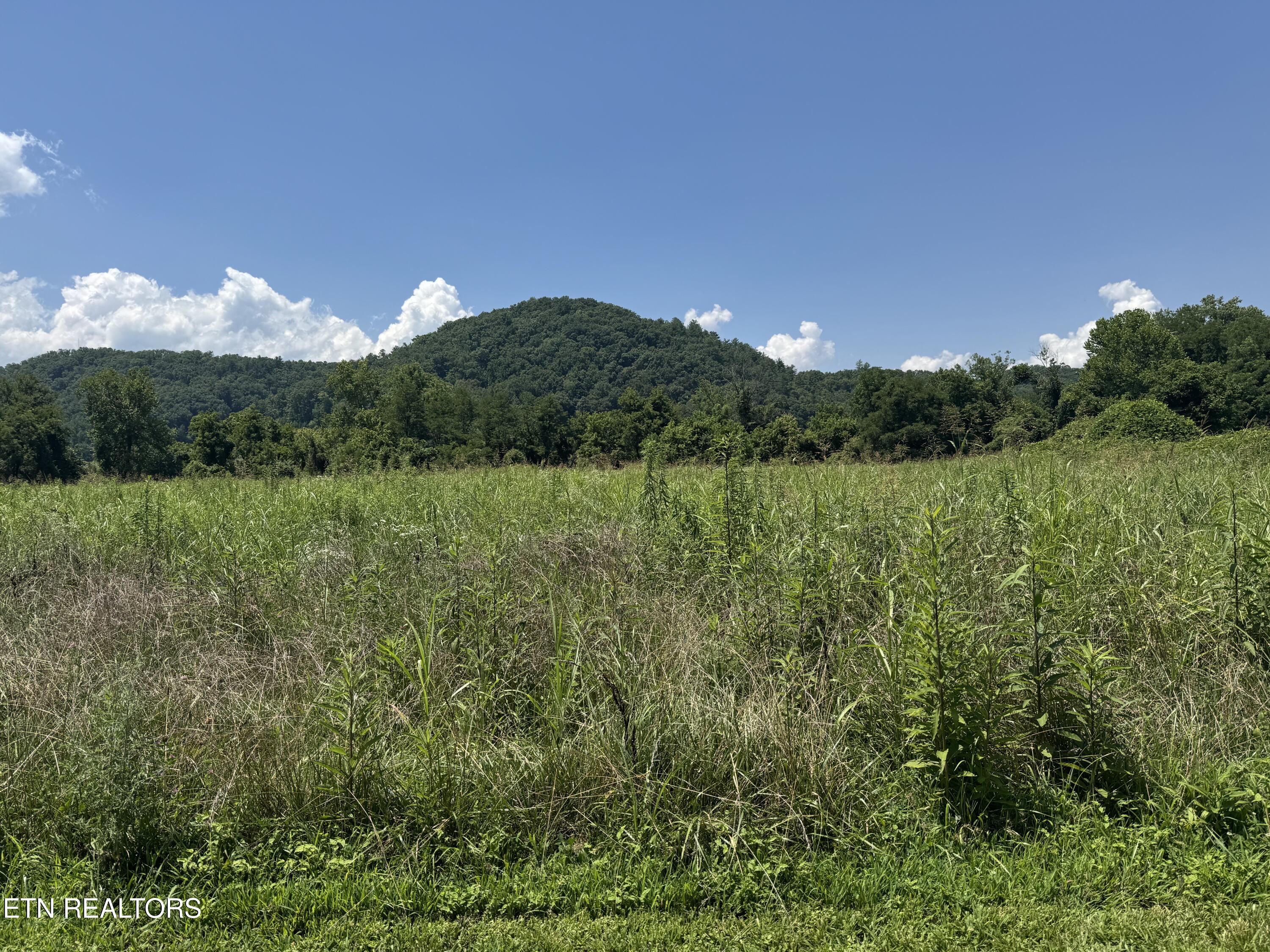 Lot 4 River Rapids Way Lot # 4 Del Rio TN 37727