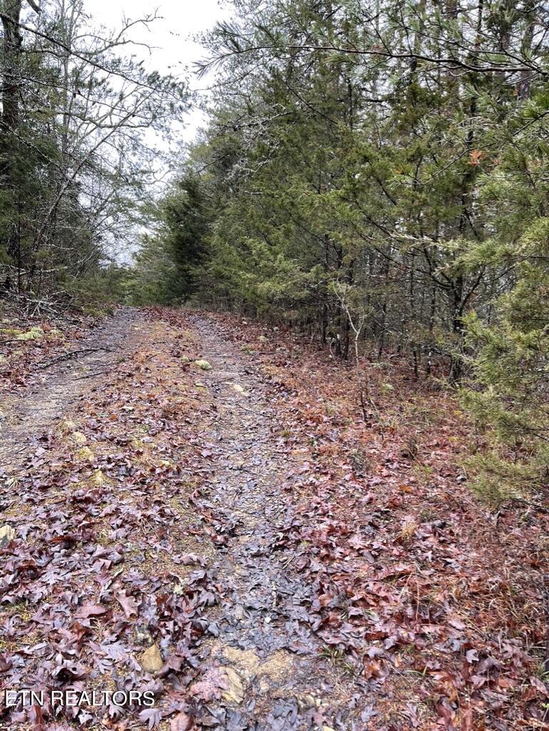 0 Coveside Way Sevierville TN 37876