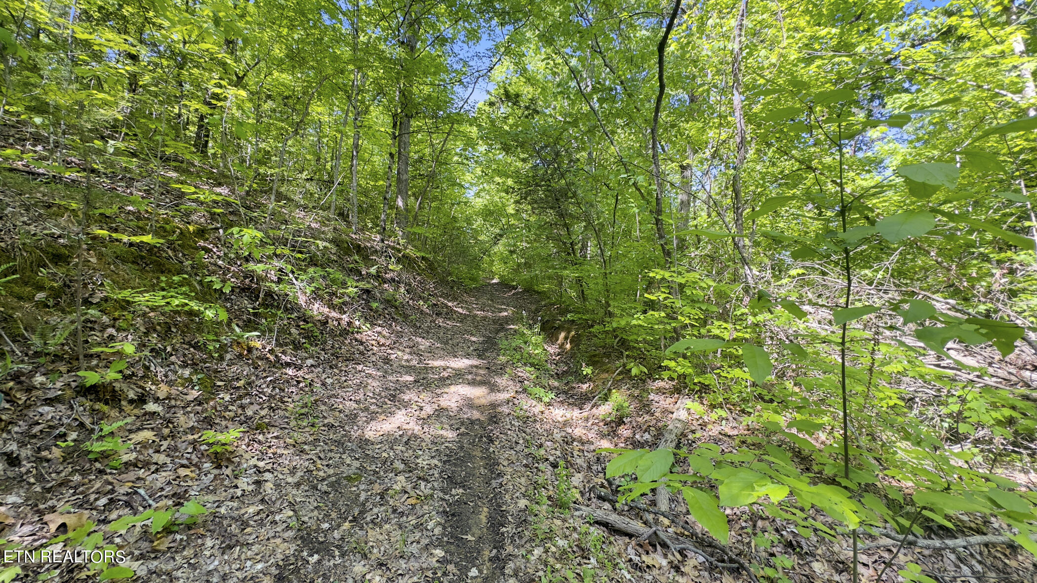 0 Coveside Way Sevierville TN 37876