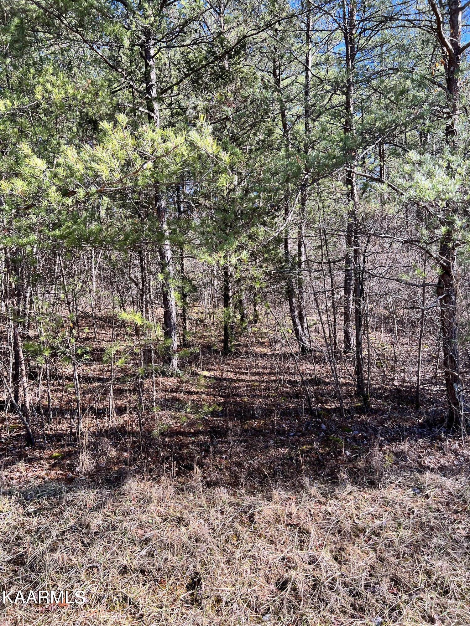 166 Windsor Road Crossville TN 38558