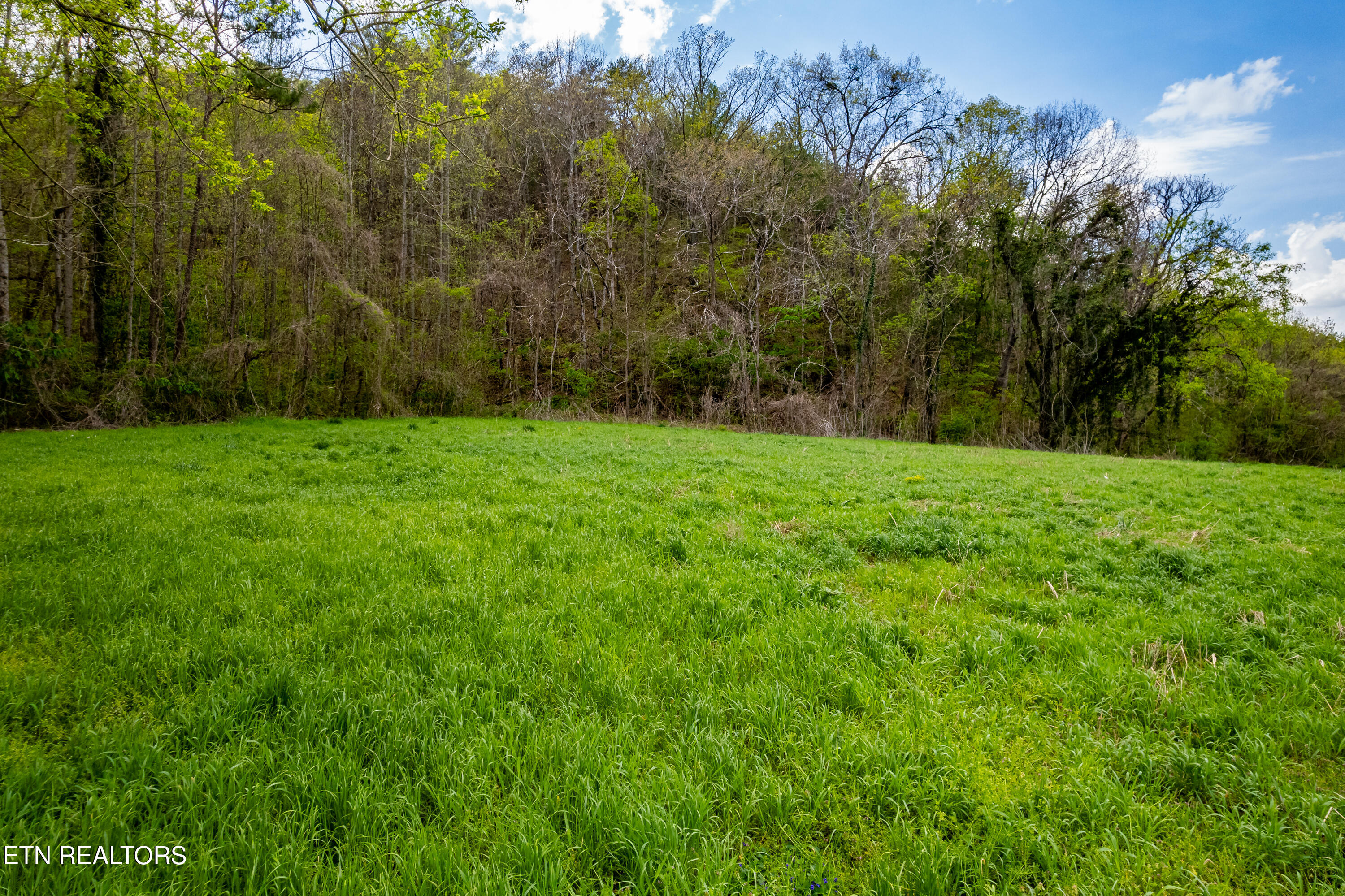 Cherohala Skyway Tellico Plains TN 37385