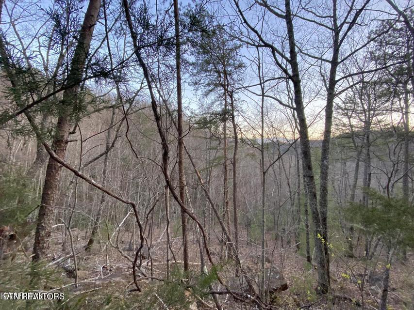 Beechwood Street Sevierville TN 37876