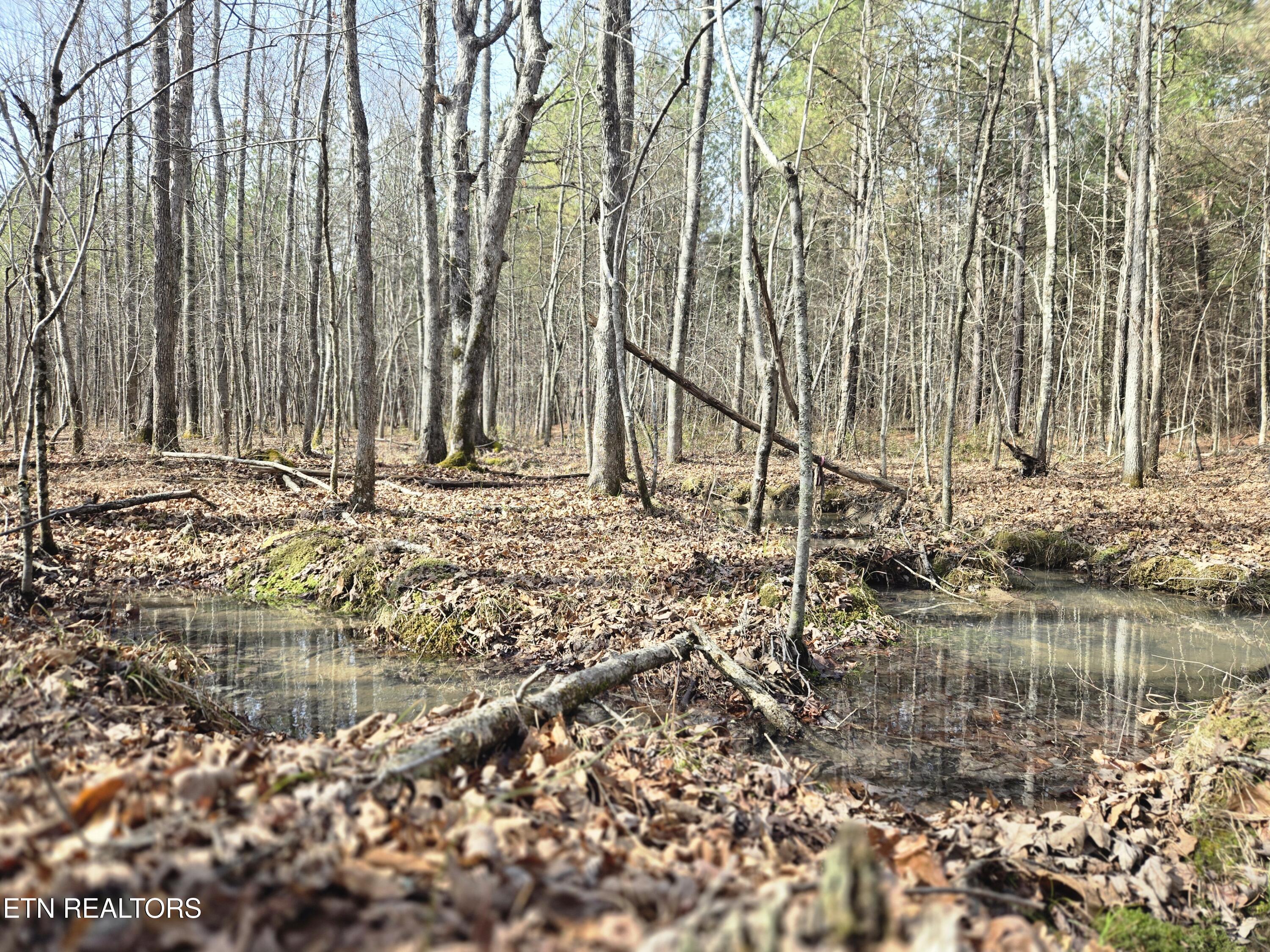 0 Cottonwood Trail Sunbright TN 37872