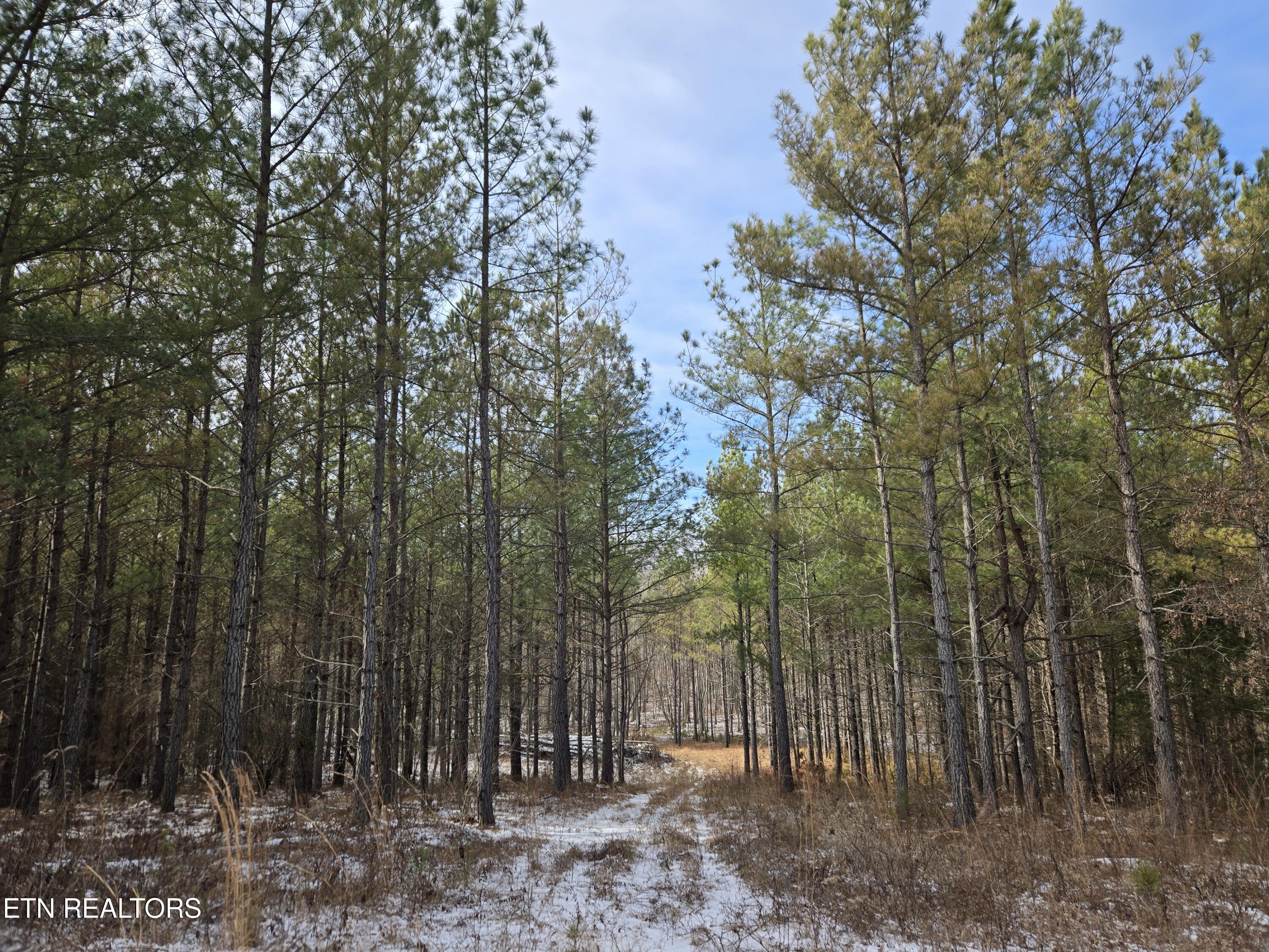 0 Cottonwood Trail Sunbright TN 37872