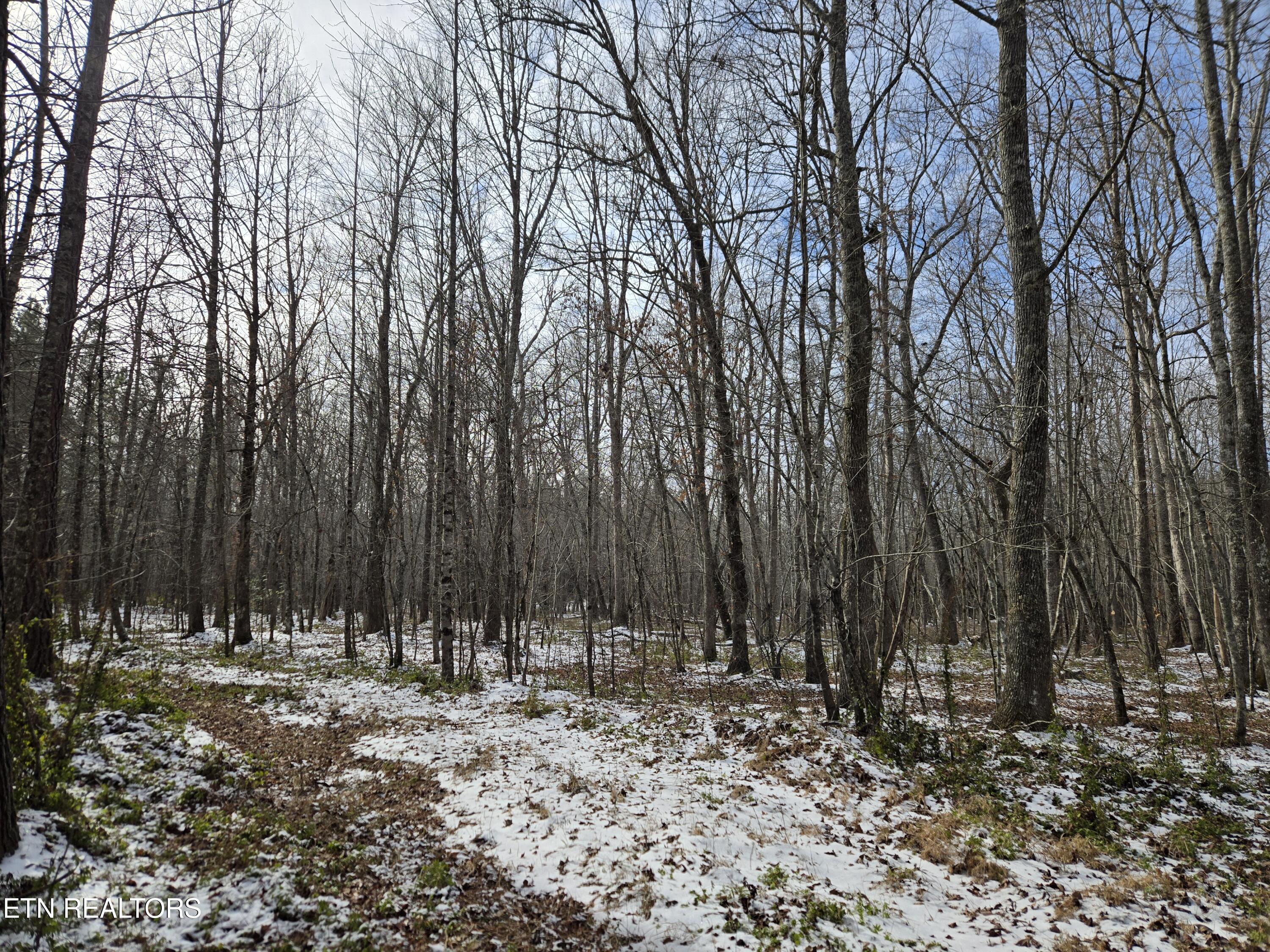 0 Cottonwood Trail Sunbright TN 37872
