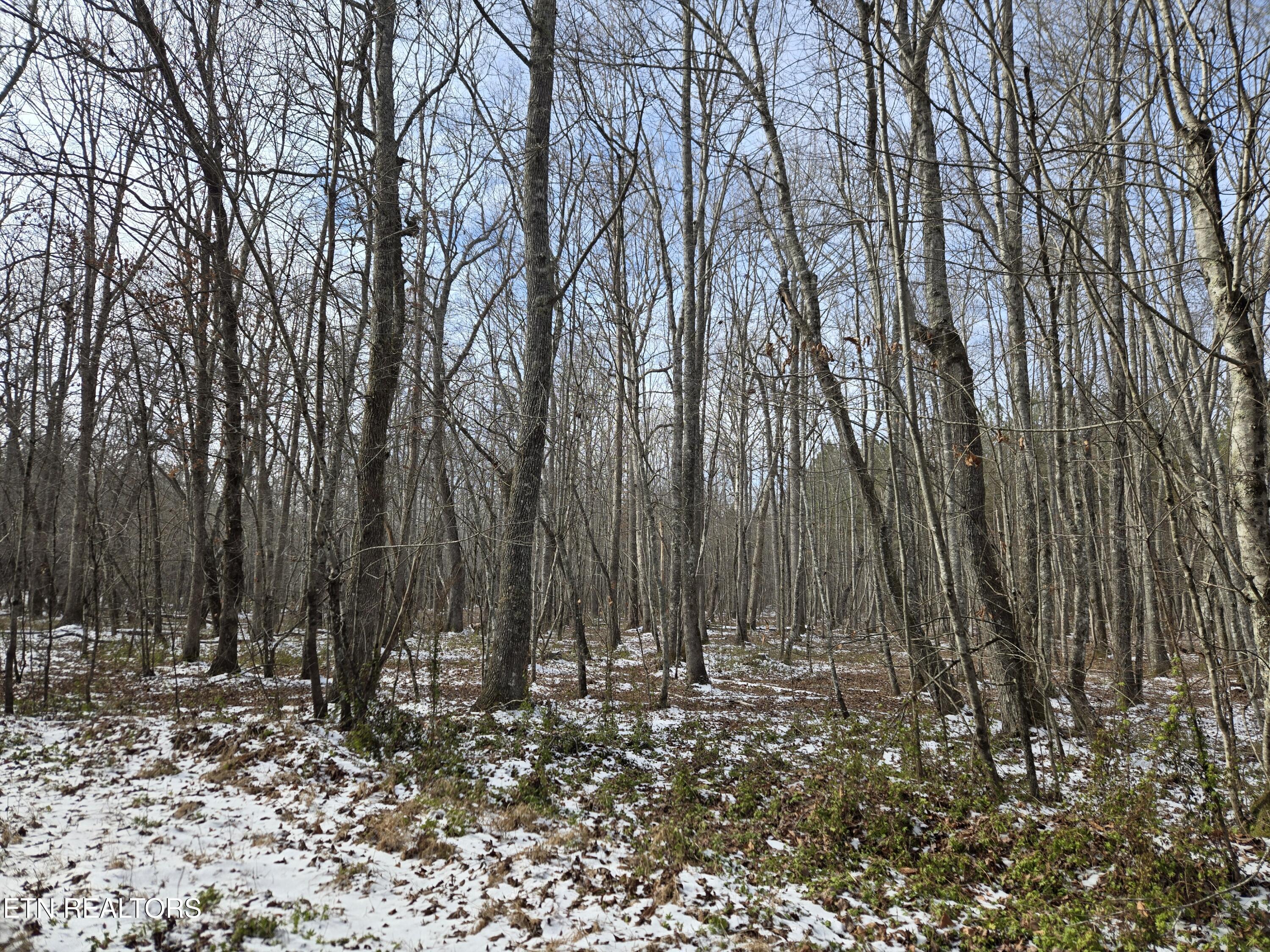 0 Cottonwood Trail Sunbright TN 37872