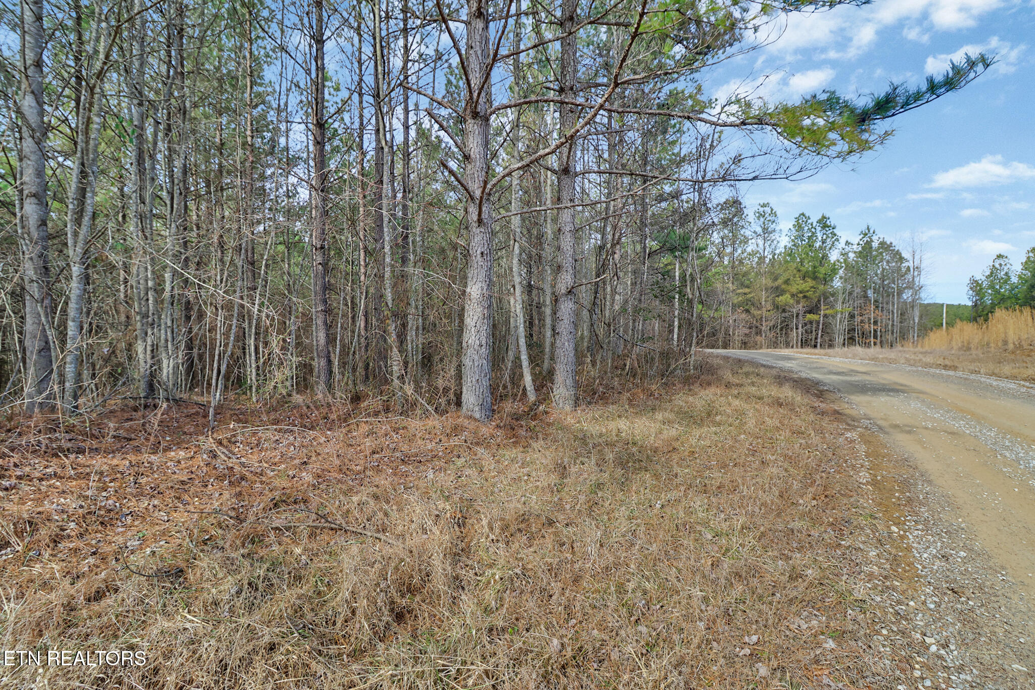 0 Cottonwood Trail Sunbright TN 37872