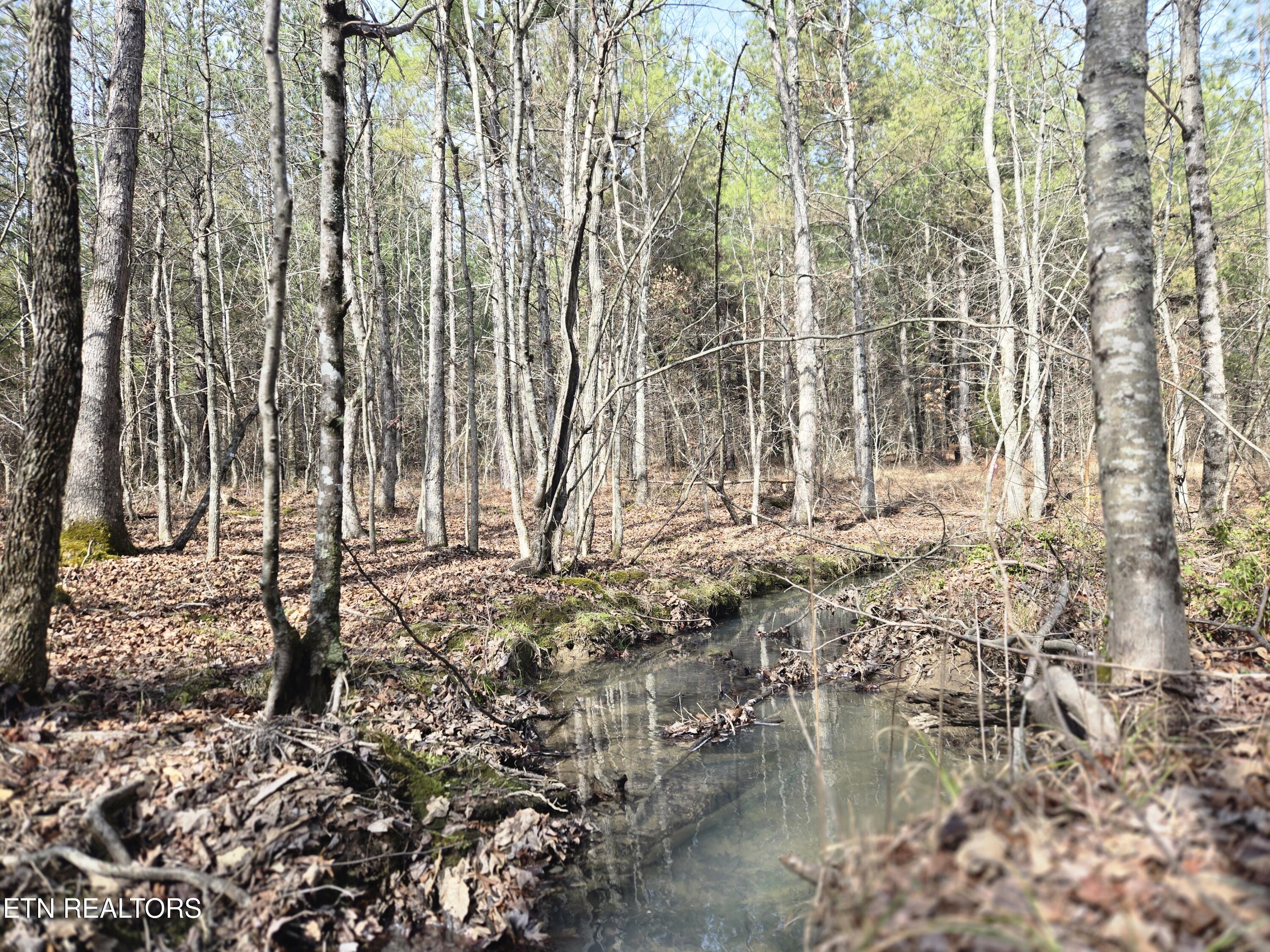 0 Cottonwood Trail Sunbright TN 37872