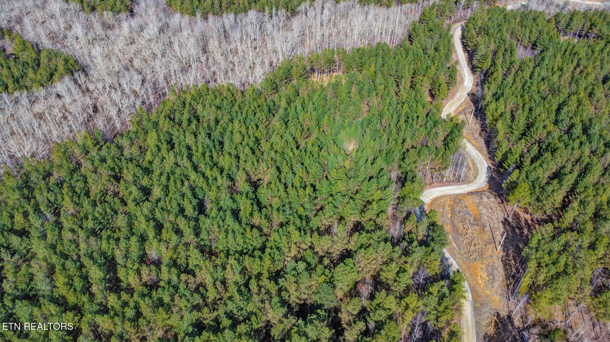 0 Cottonwood Trail Sunbright TN 37872