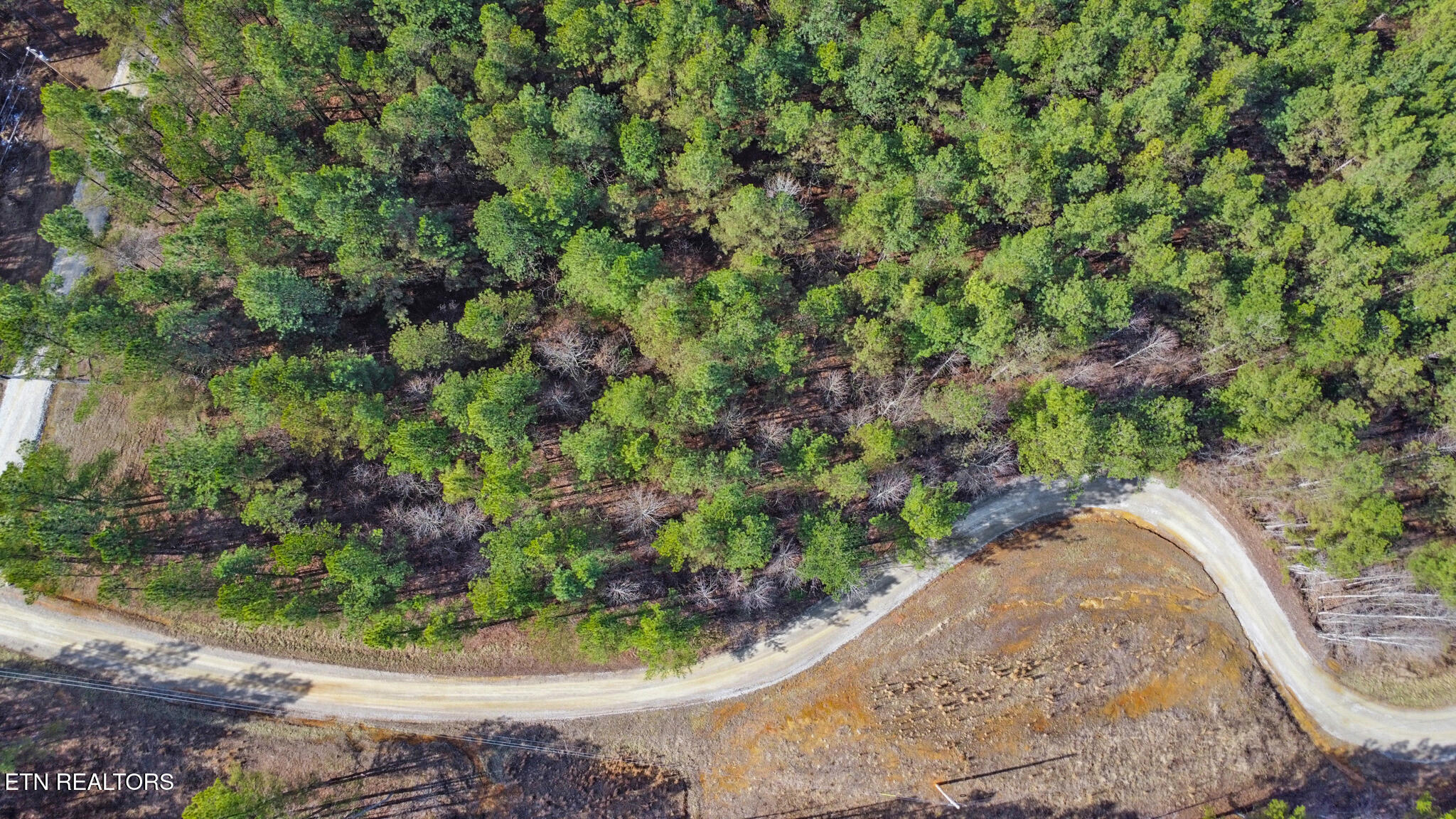 0 Cottonwood Trail Sunbright TN 37872