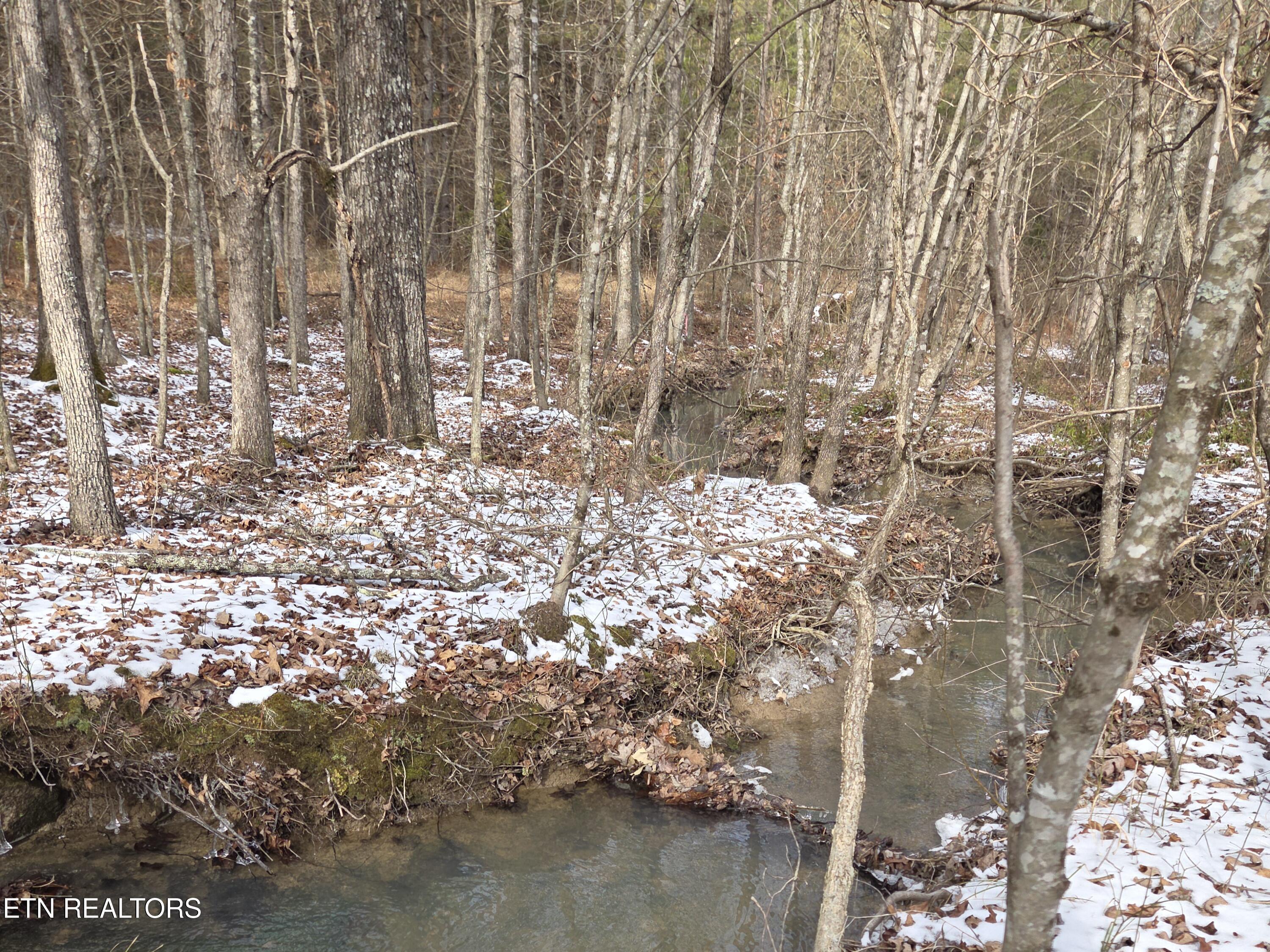 0 Cottonwood Trail Sunbright TN 37872
