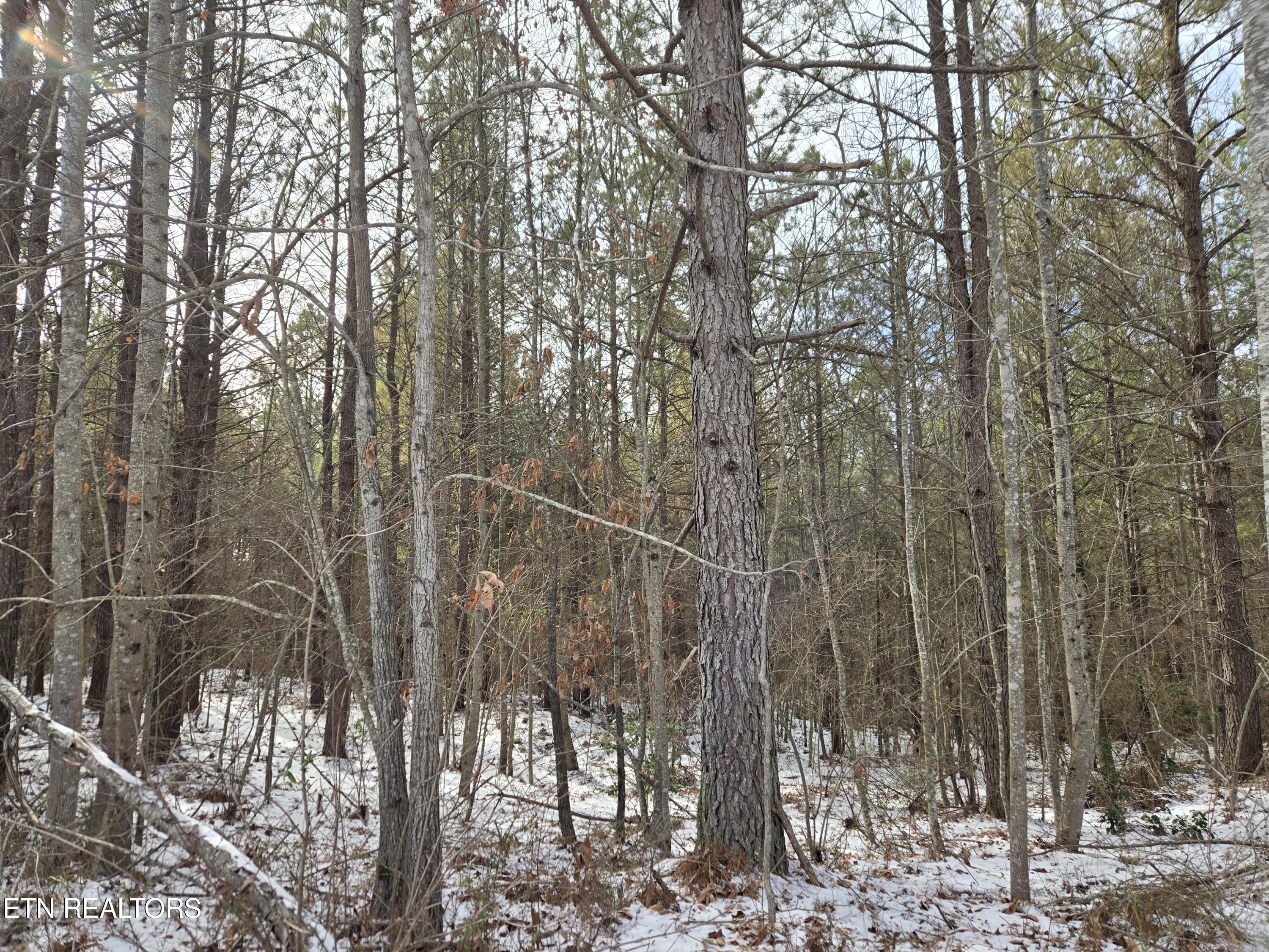 0 Cottonwood Trail Sunbright TN 37872