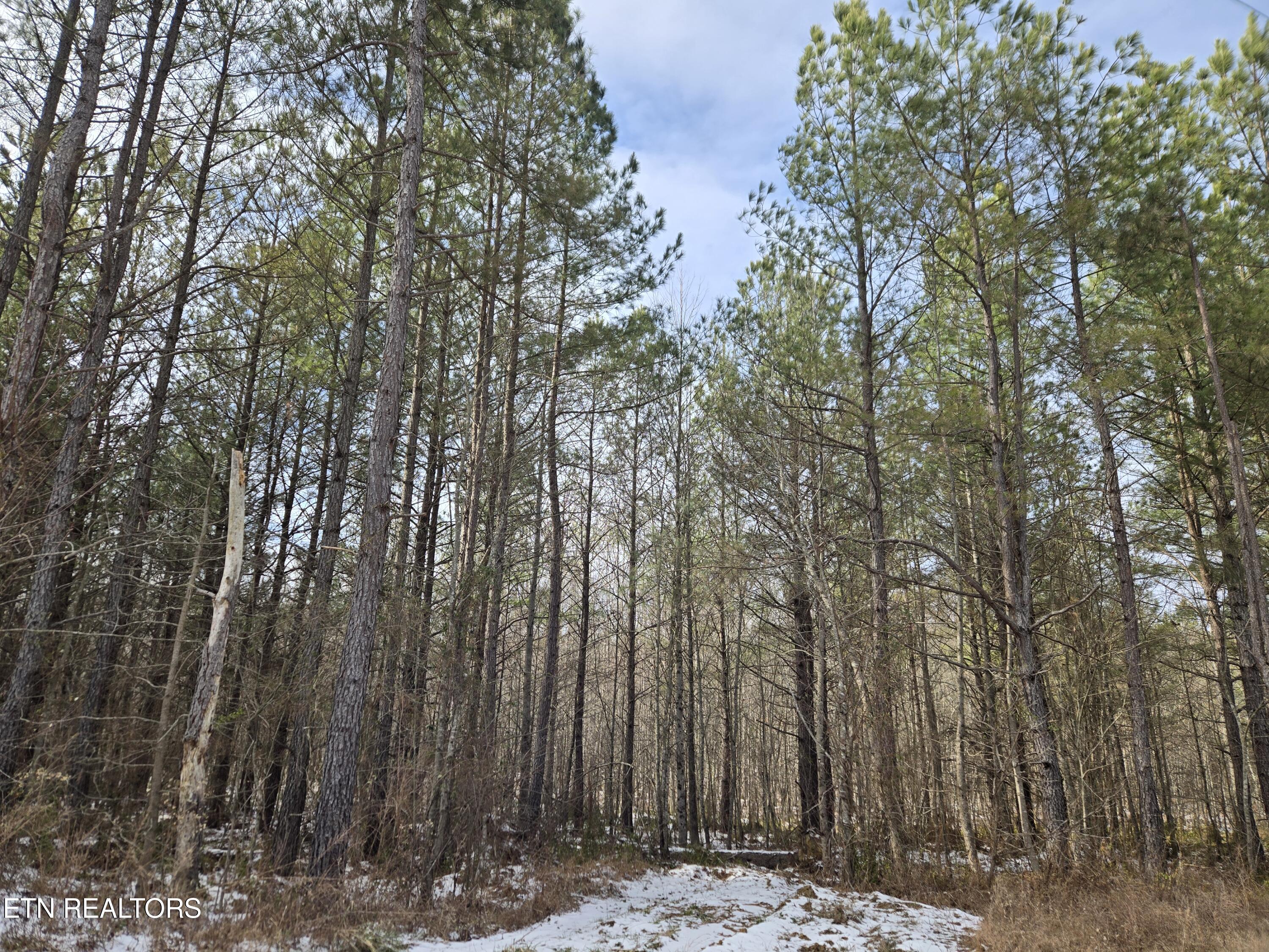 0 Cottonwood Trail Sunbright TN 37872