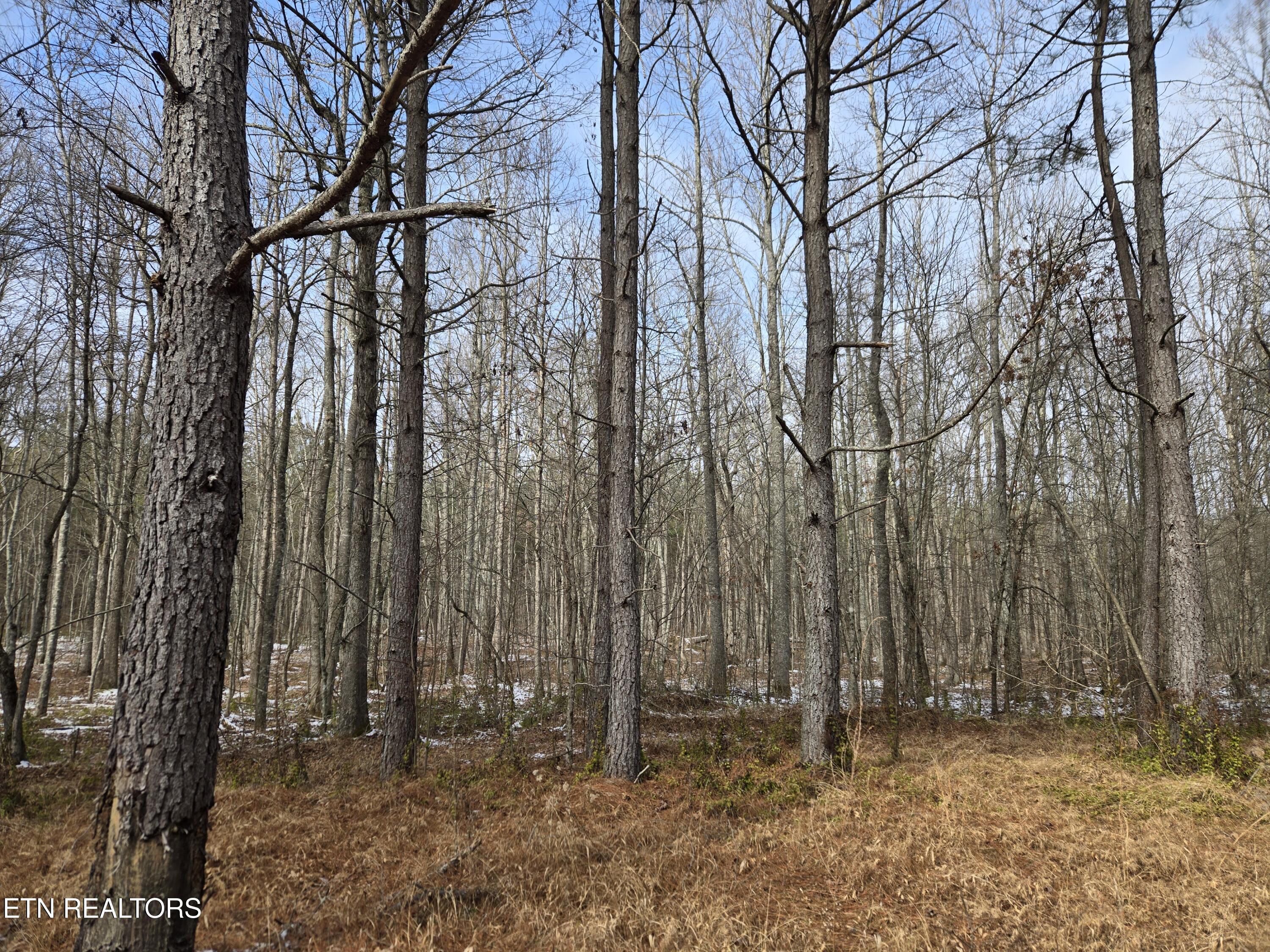 0 Cottonwood Trail Sunbright TN 37872