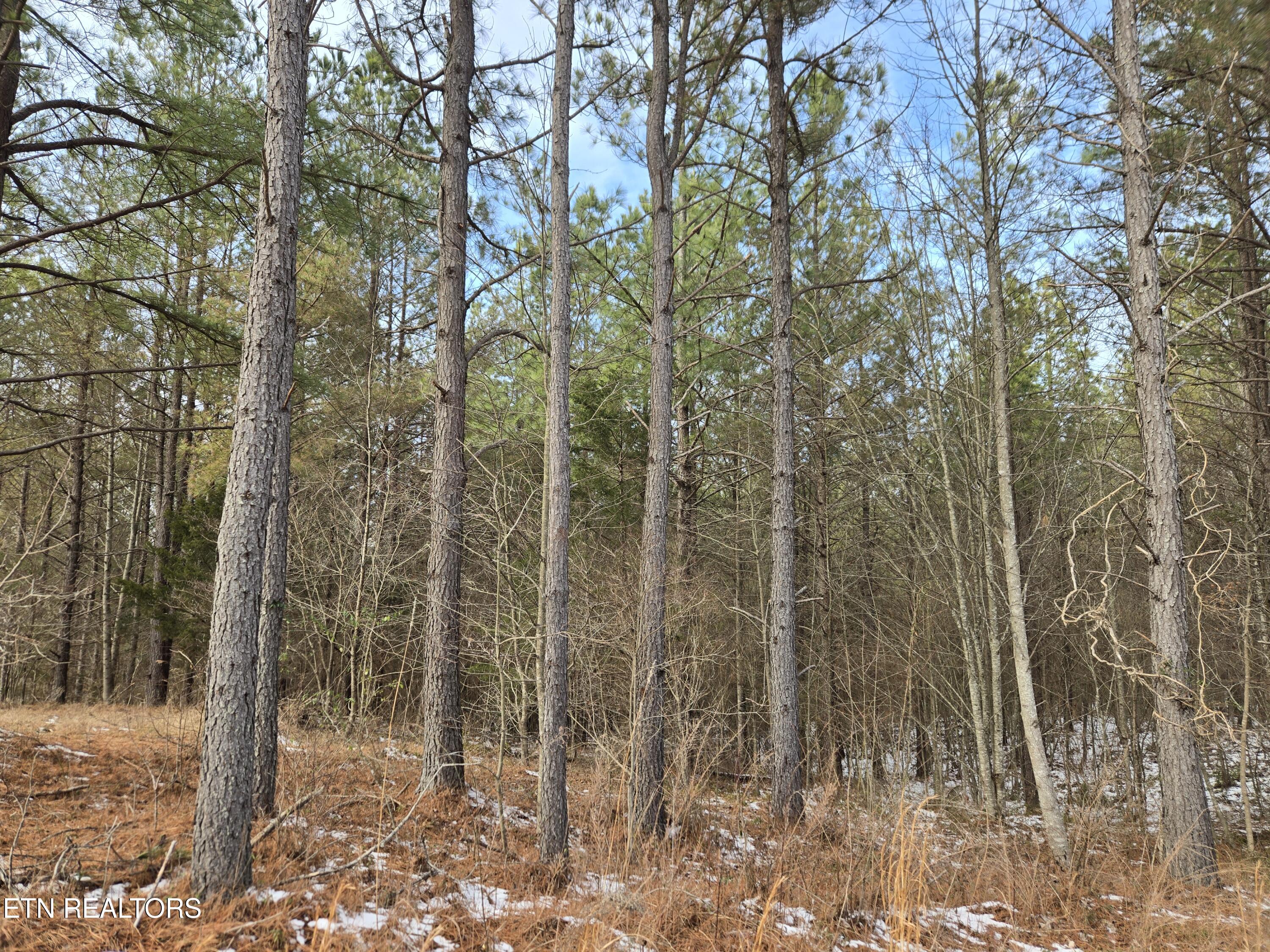 0 Cottonwood Trail Sunbright TN 37872