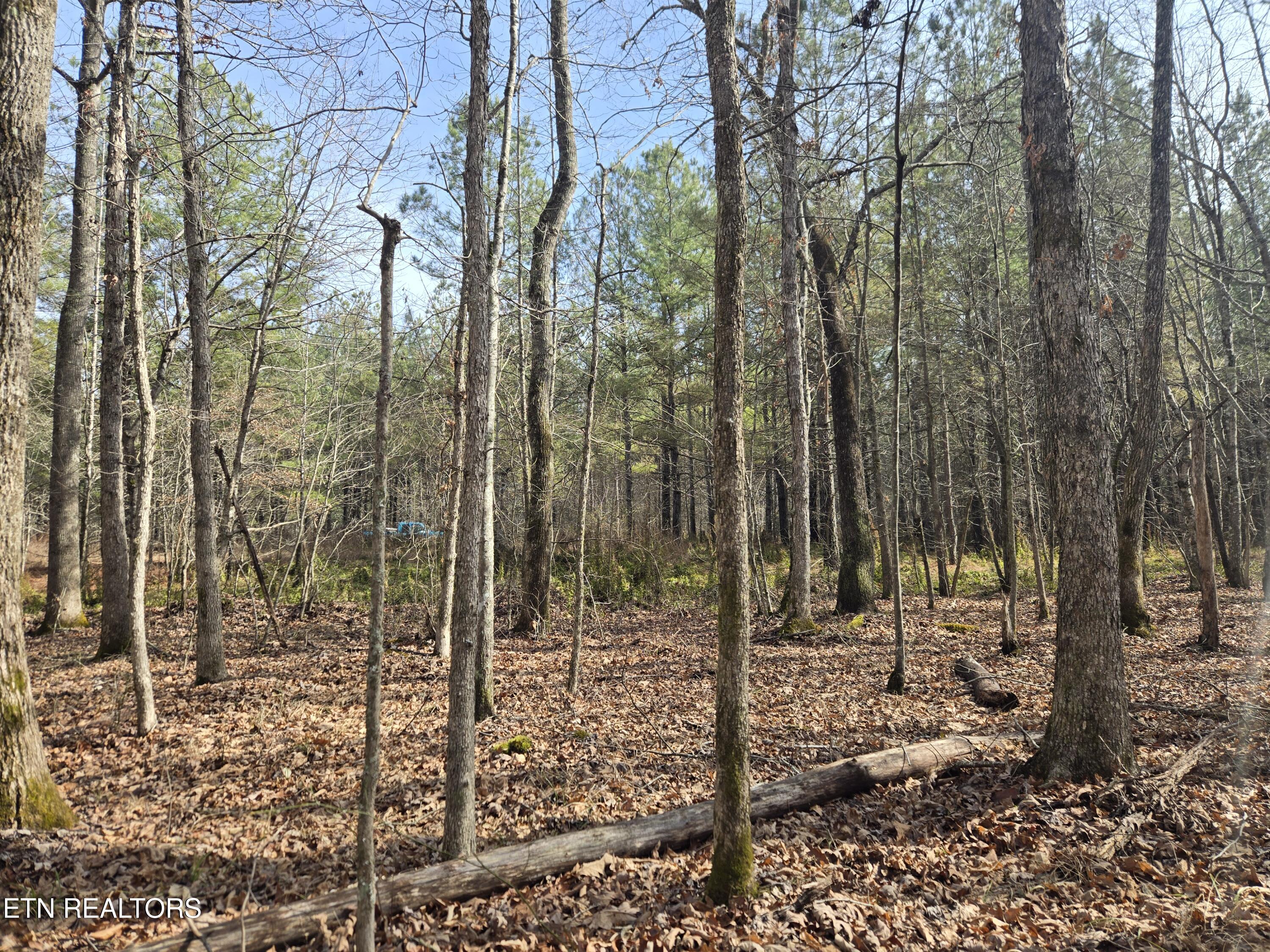 0 Cottonwood Trail Sunbright TN 37872