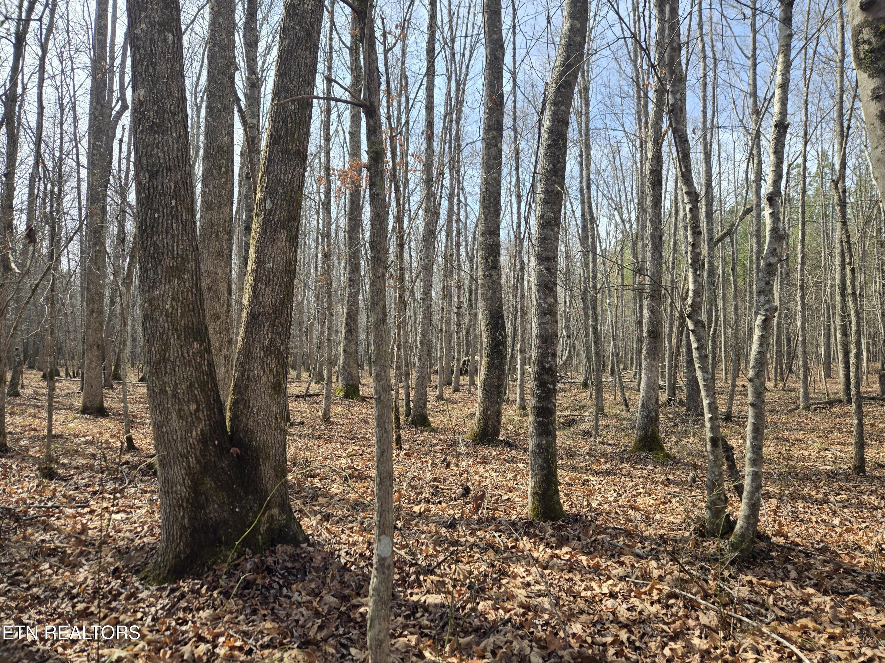 0 Cottonwood Trail Sunbright TN 37872