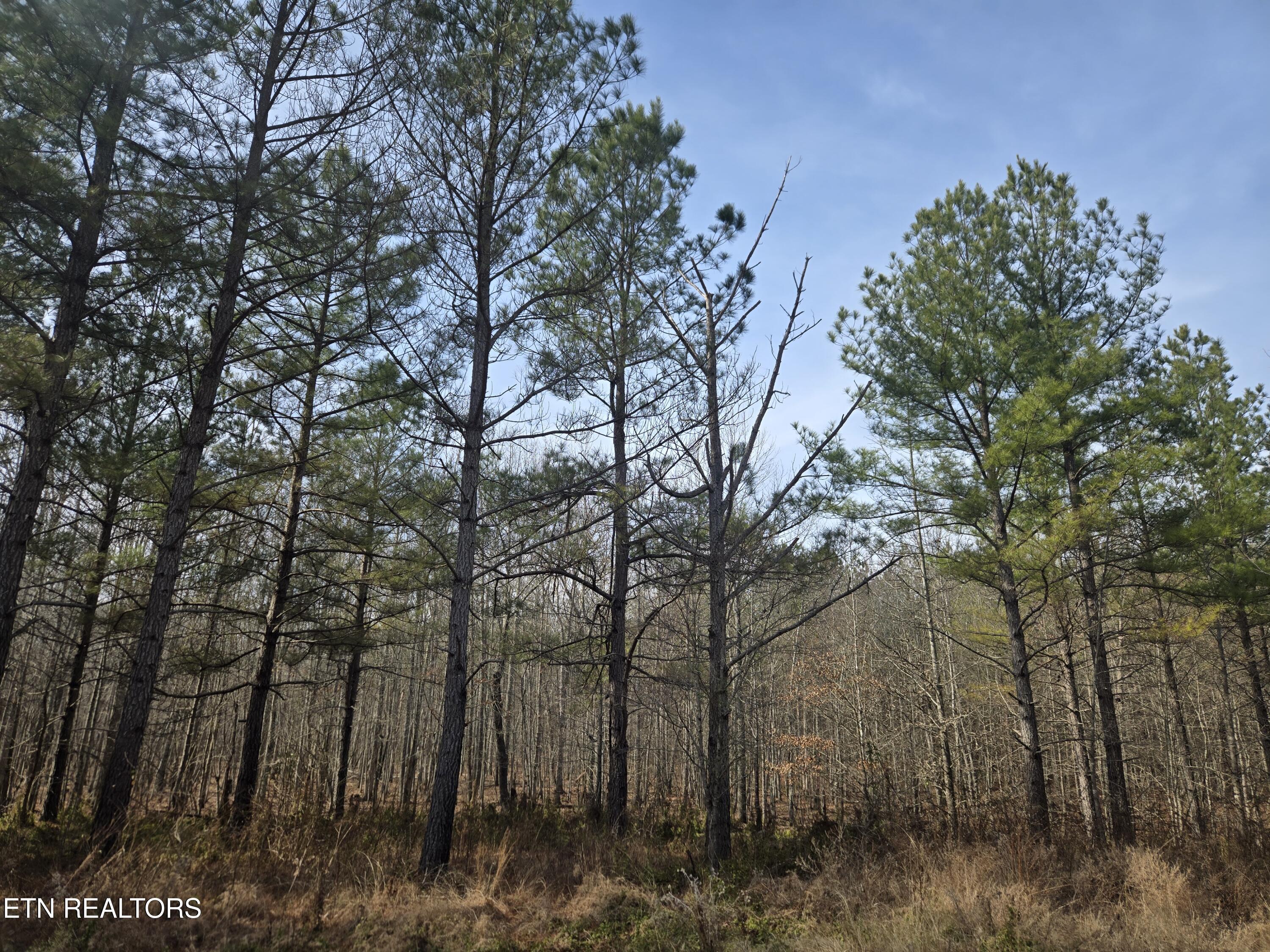 0 Cottonwood Trail Sunbright TN 37872