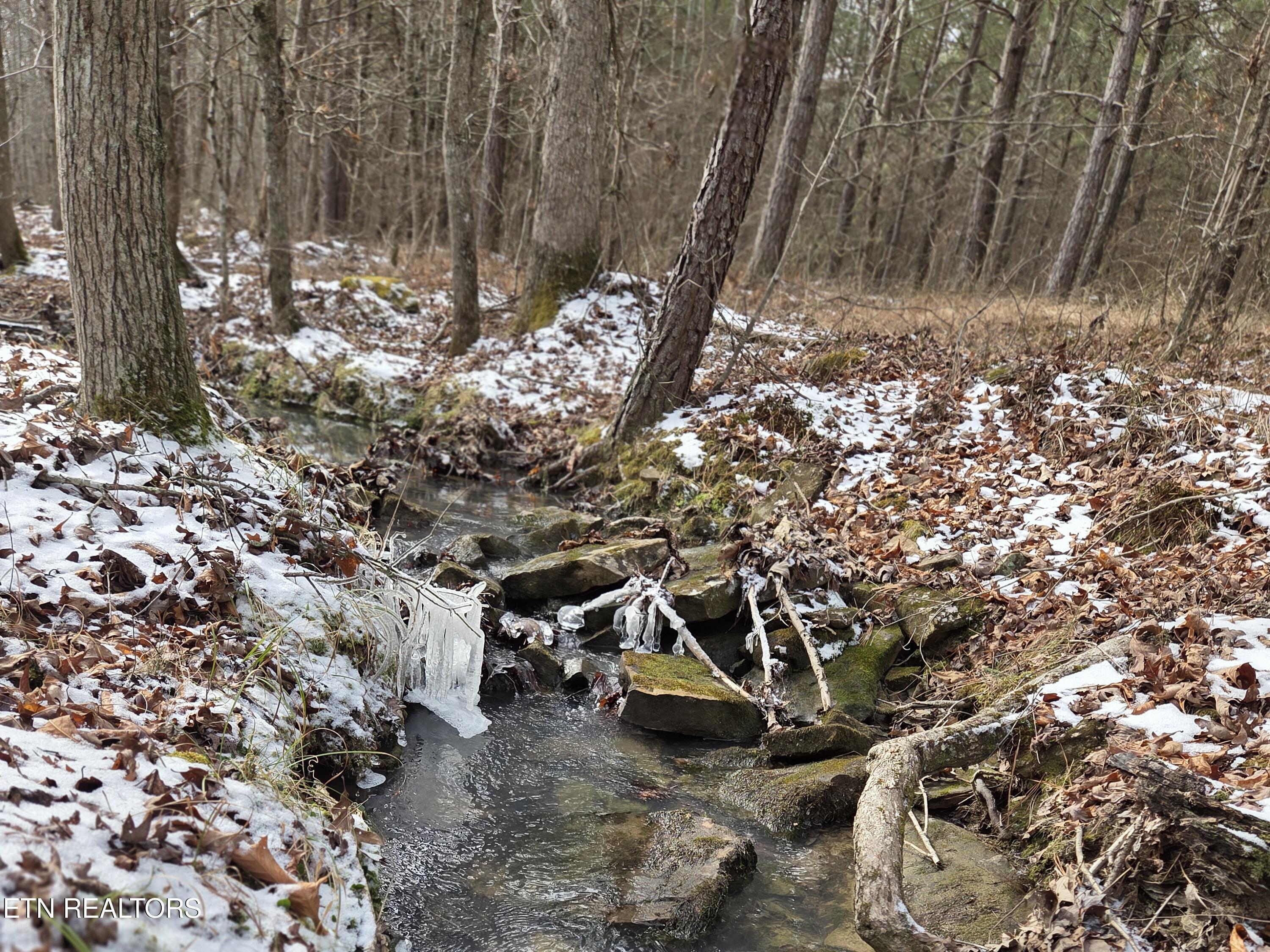 0 Cottonwood Trail Sunbright TN 37872