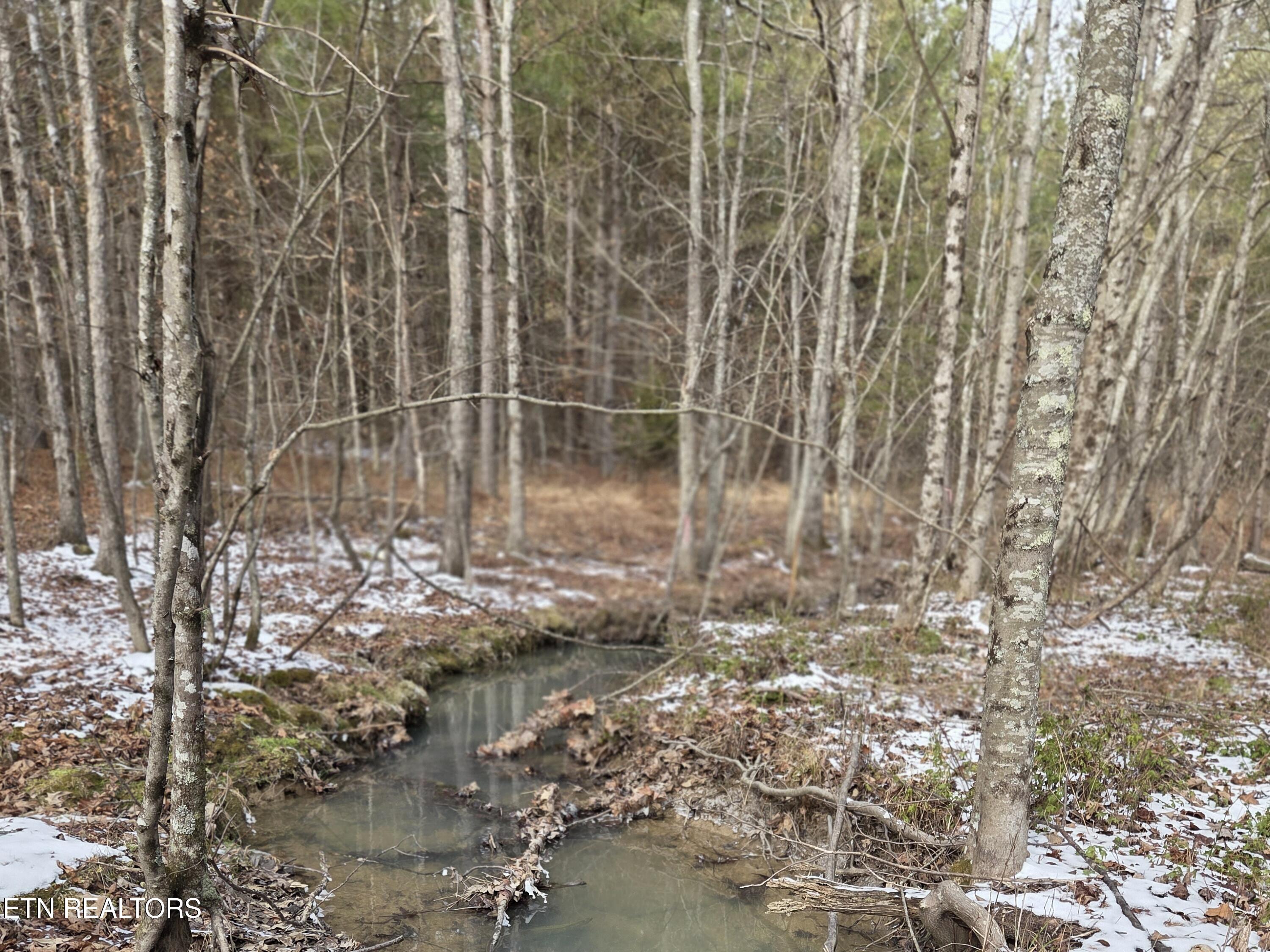 0 Cottonwood Trail Sunbright TN 37872