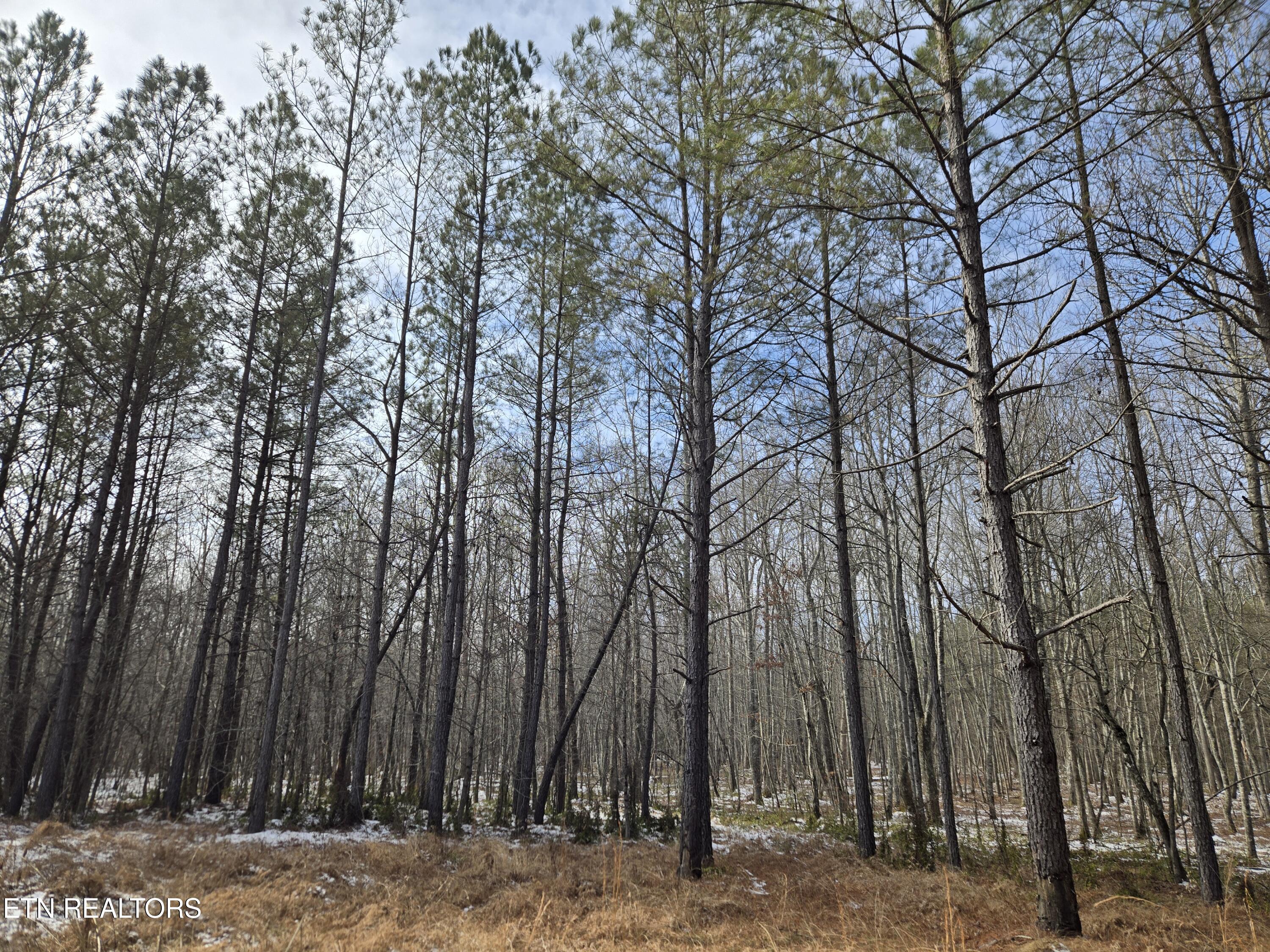 0 Cottonwood Trail Sunbright TN 37872