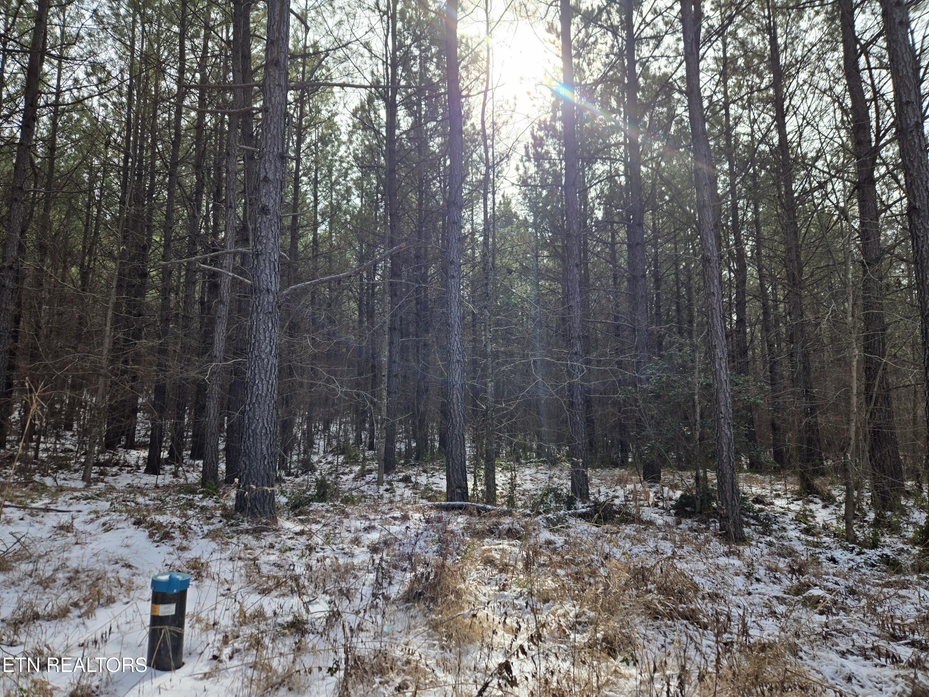 0 Cottonwood Trail Sunbright TN 37872