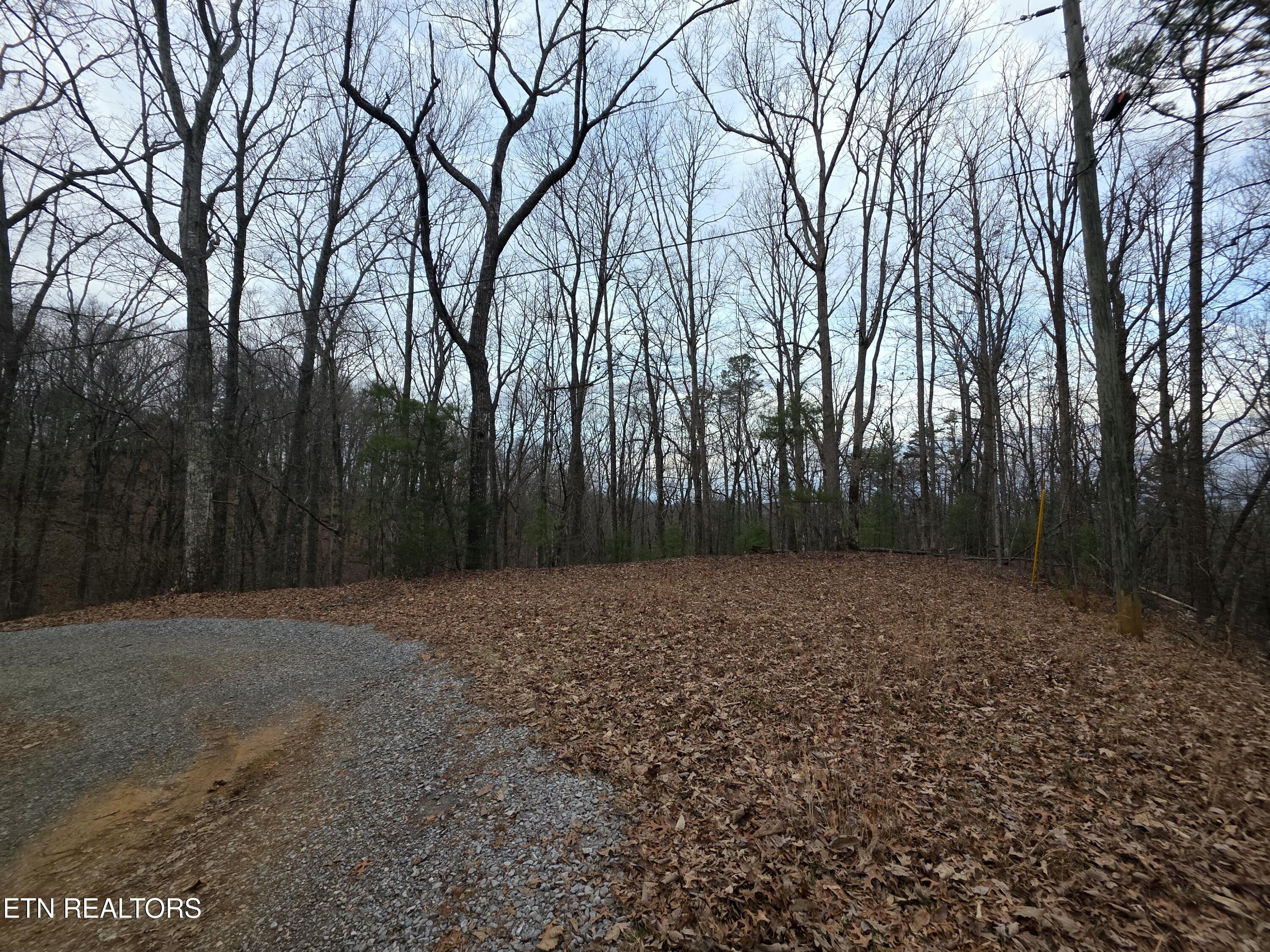 0 Deer Ridge Lane Sevierville TN 37876