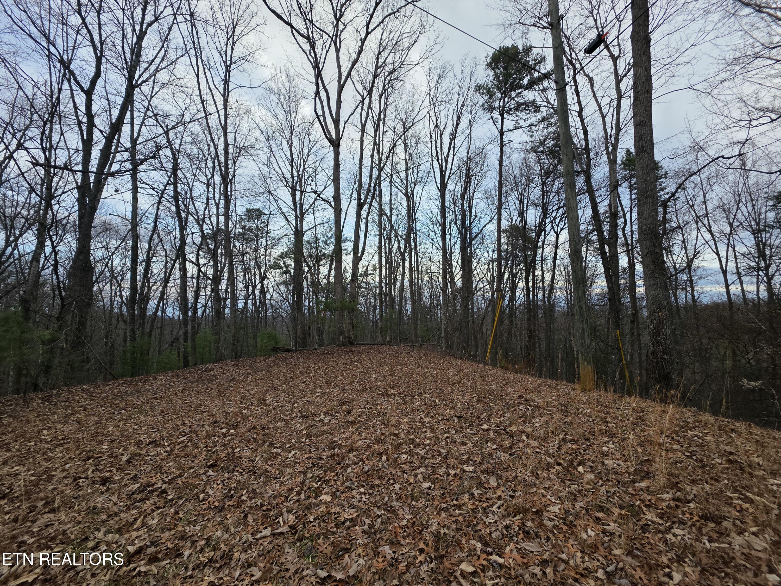 0 Deer Ridge Lane Sevierville TN 37876