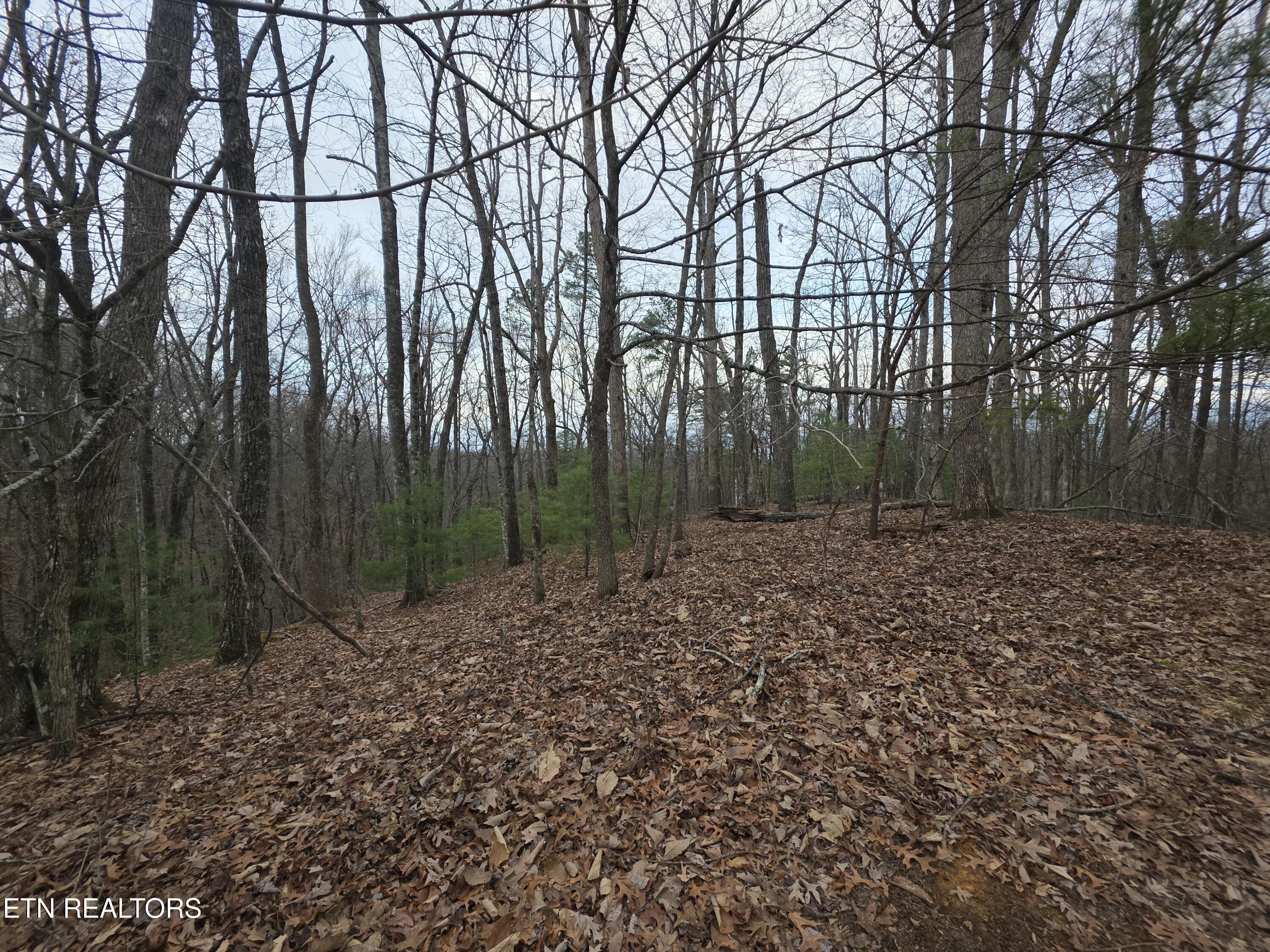 0 Deer Ridge Lane Sevierville TN 37876