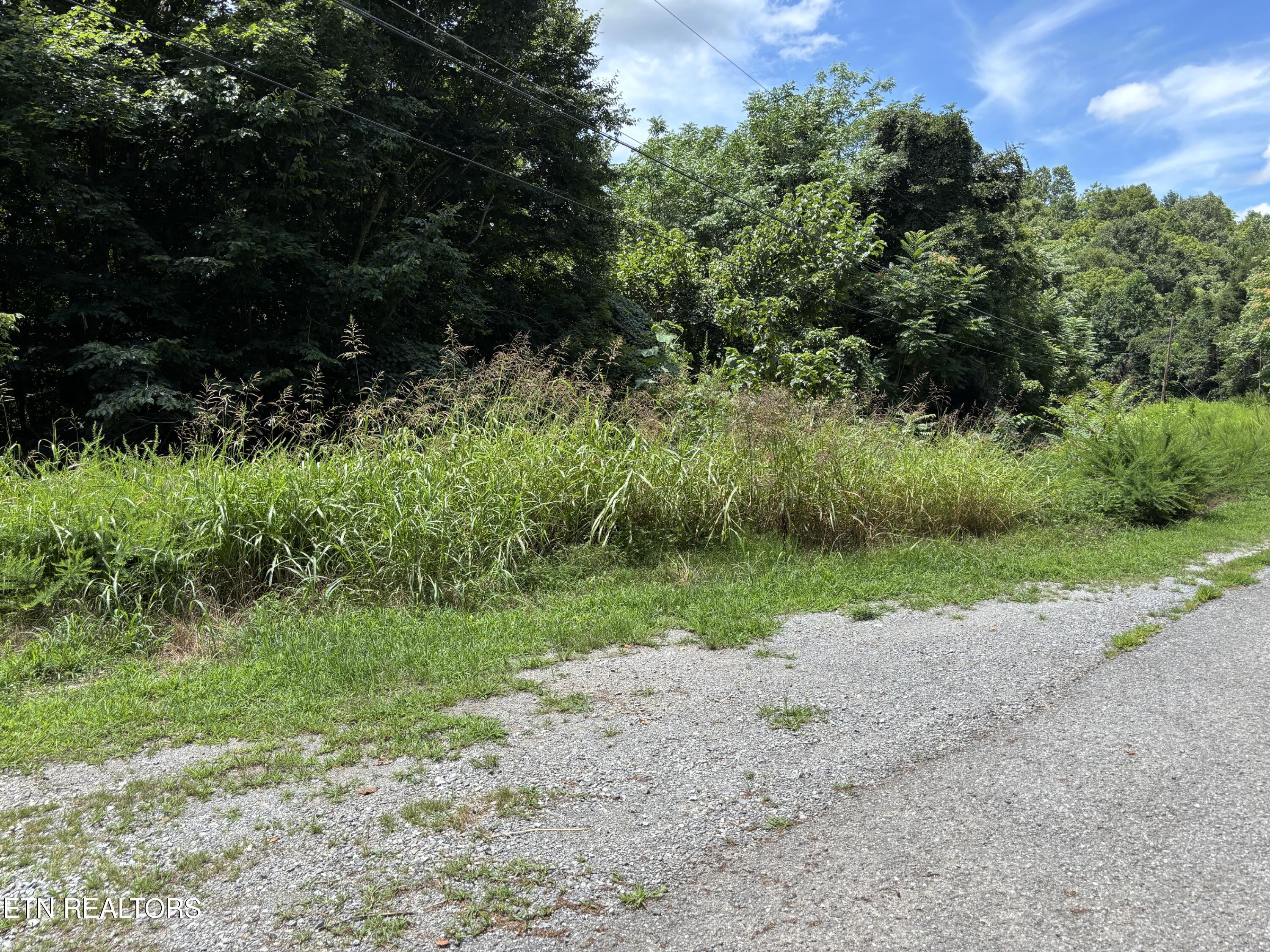 Shoreside Road New Tazewell TN 37825