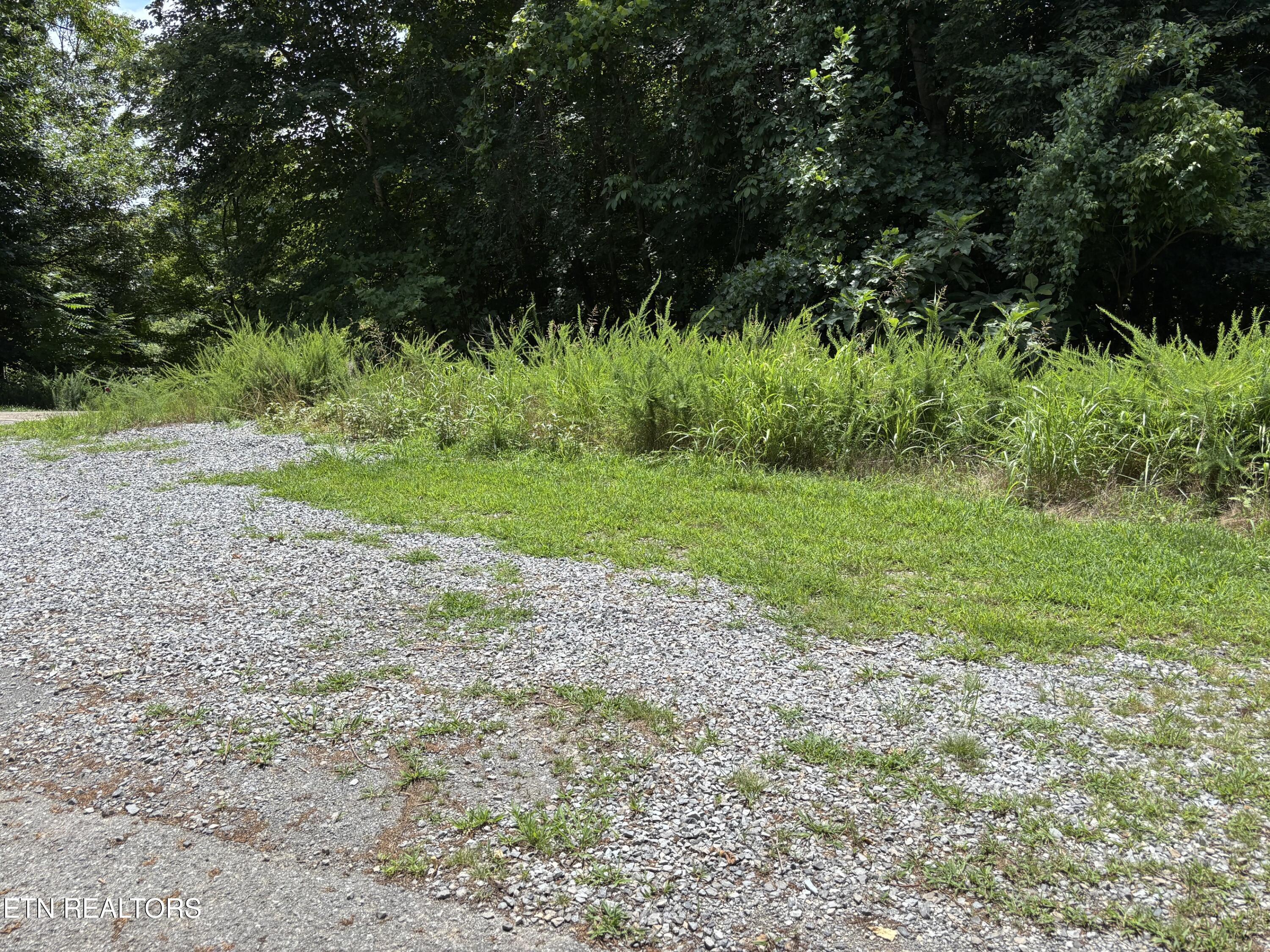 Shoreside Road New Tazewell TN 37825
