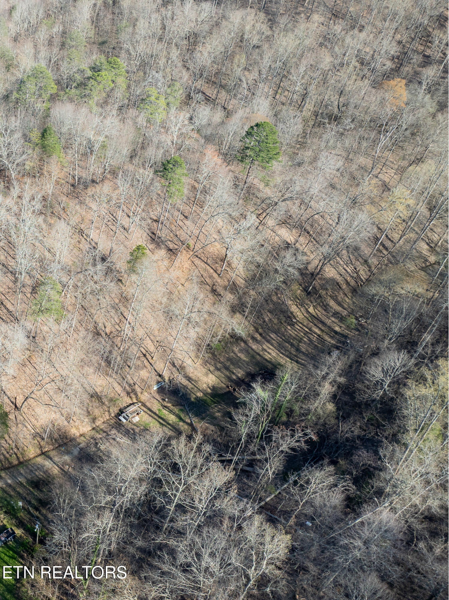 2723 Redbud Valley Drive Maryville TN 37801