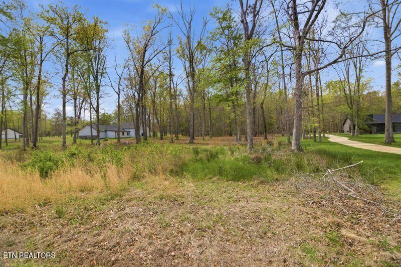 Peaceful Point Dandridge TN 37725