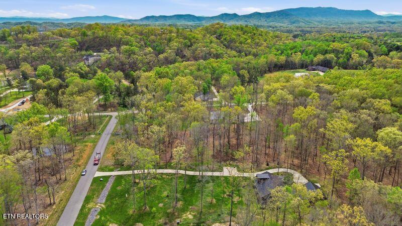 Peaceful Point Dandridge TN 37725
