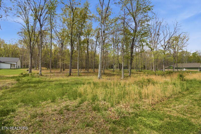 Peaceful Point Dandridge TN 37725
