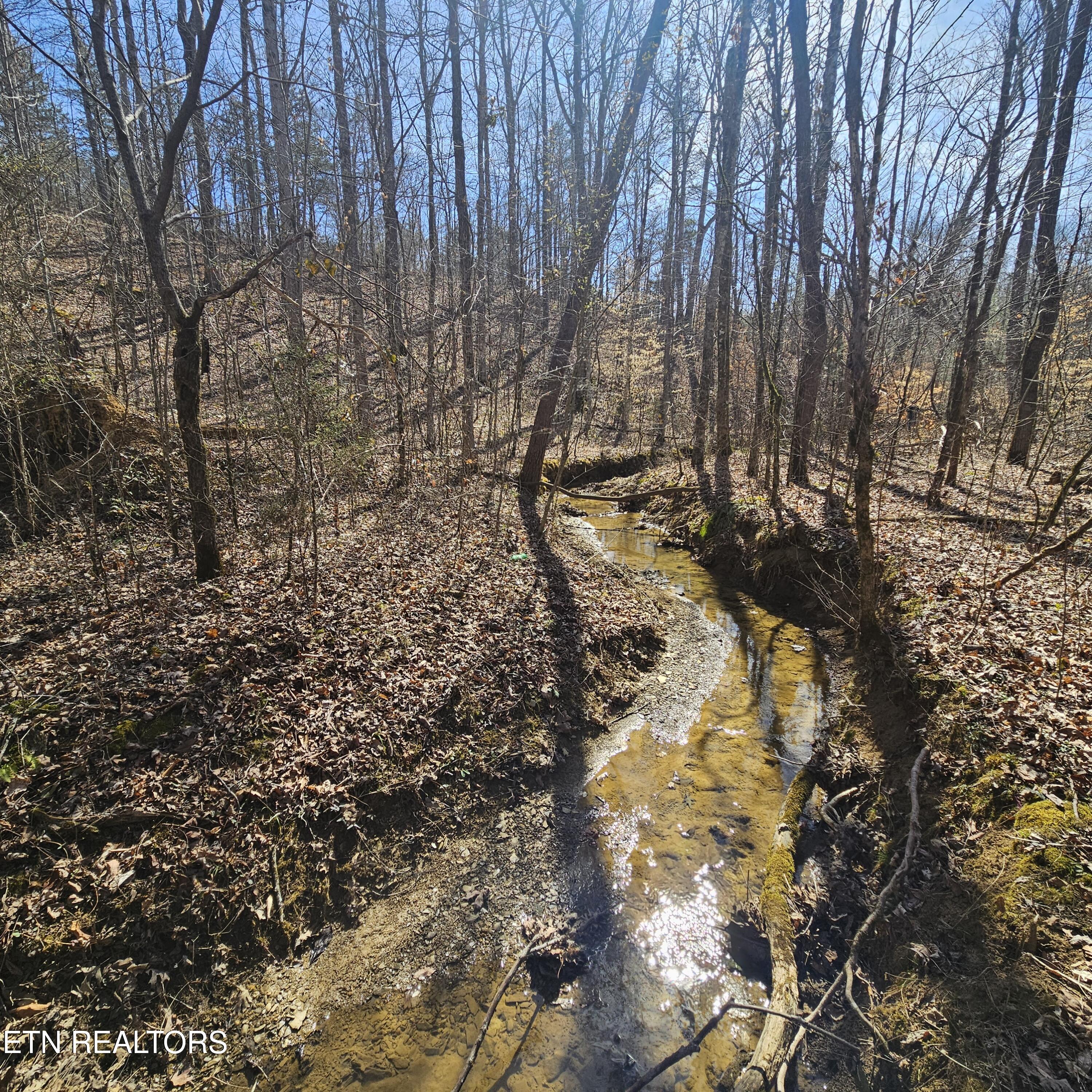 0 Lick Creek Road Tellico Plains TN 37385