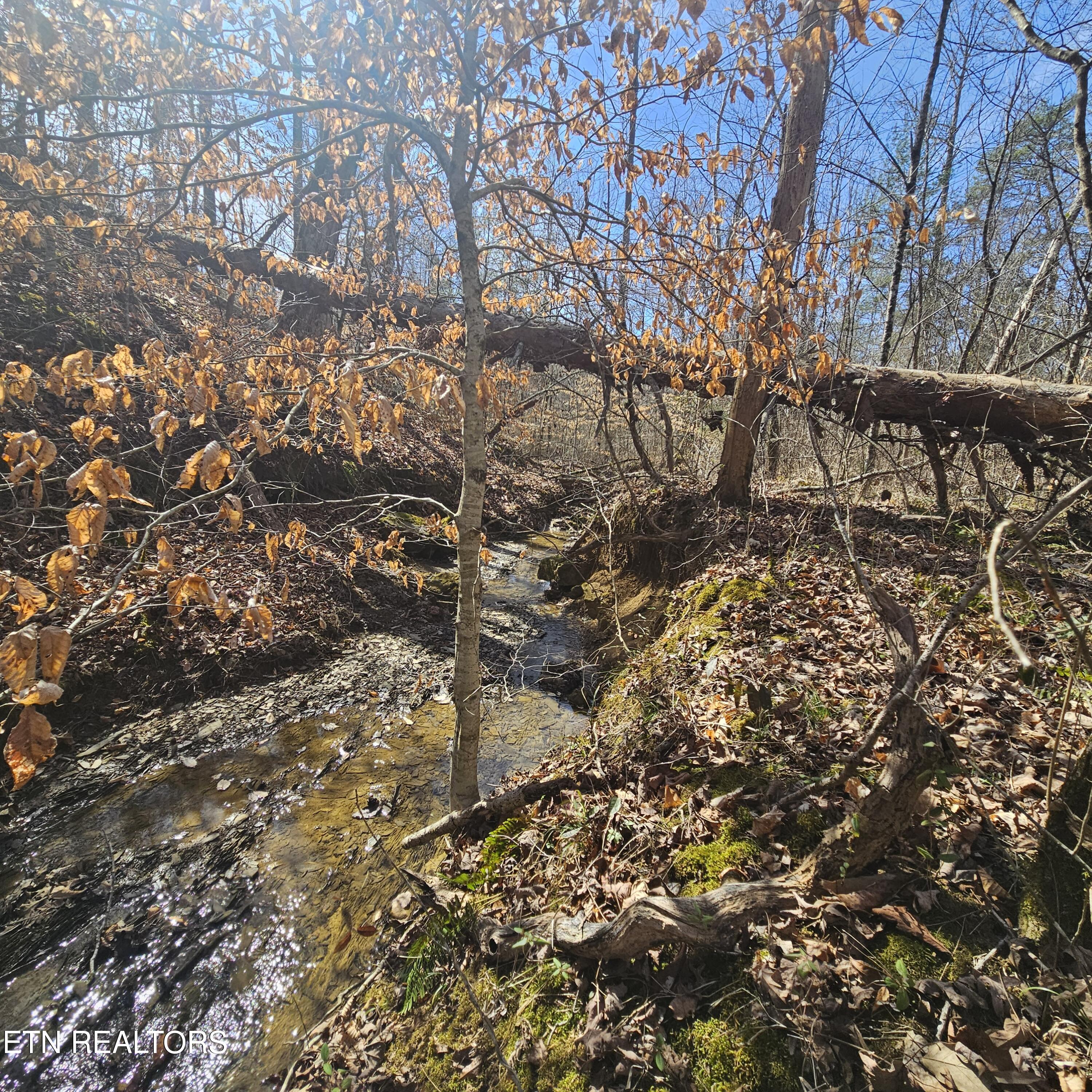0 Lick Creek Road Tellico Plains TN 37385