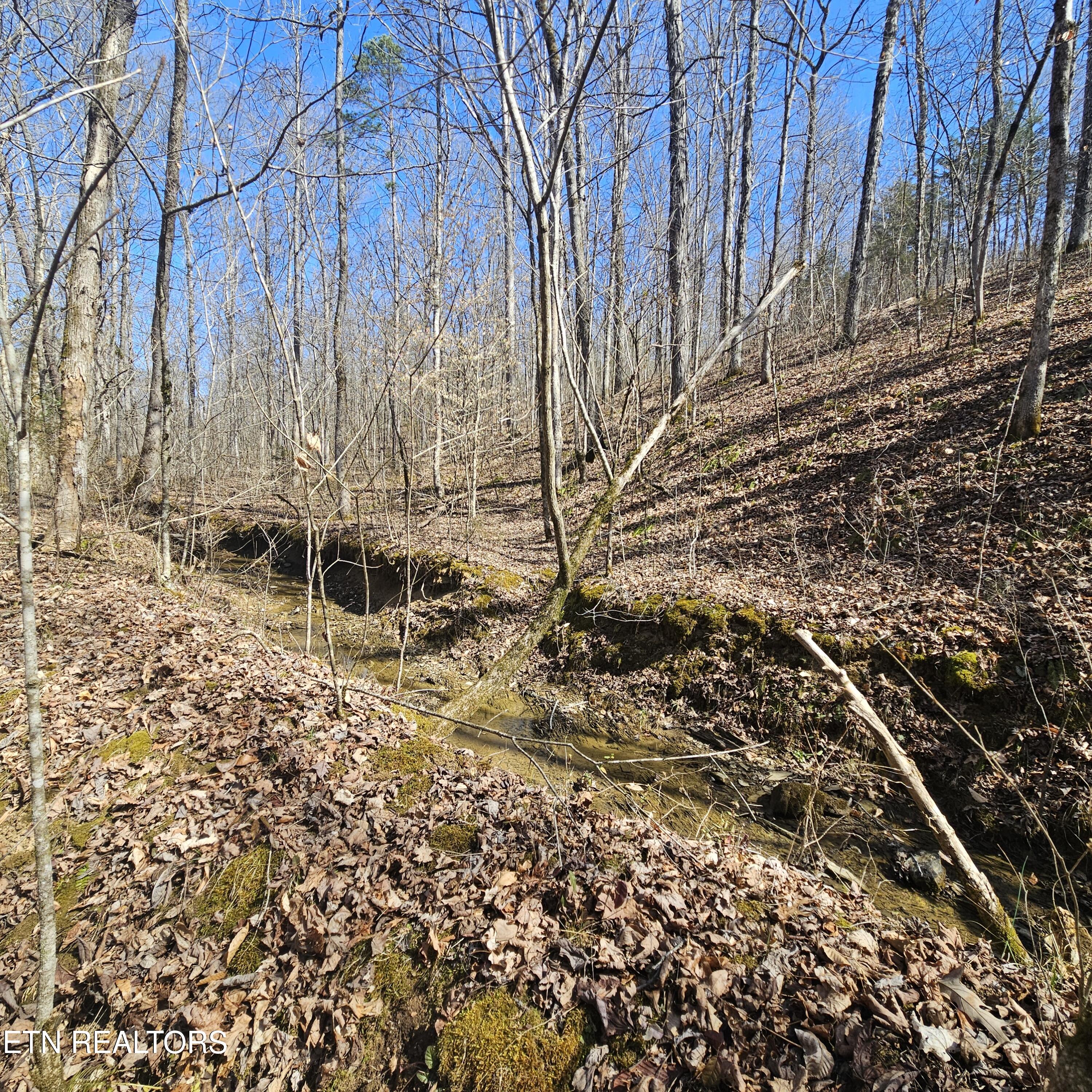 0 Lick Creek Road Tellico Plains TN 37385