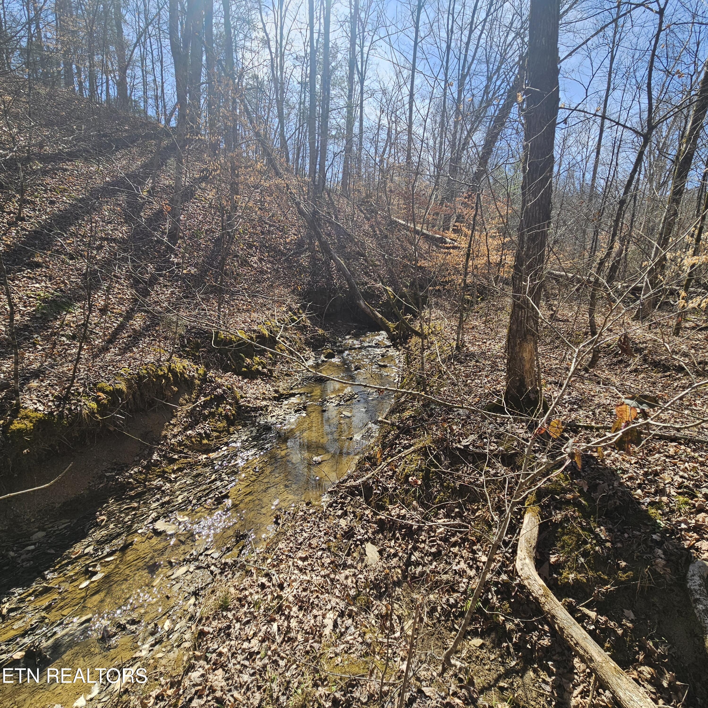 0 Lick Creek Road Tellico Plains TN 37385