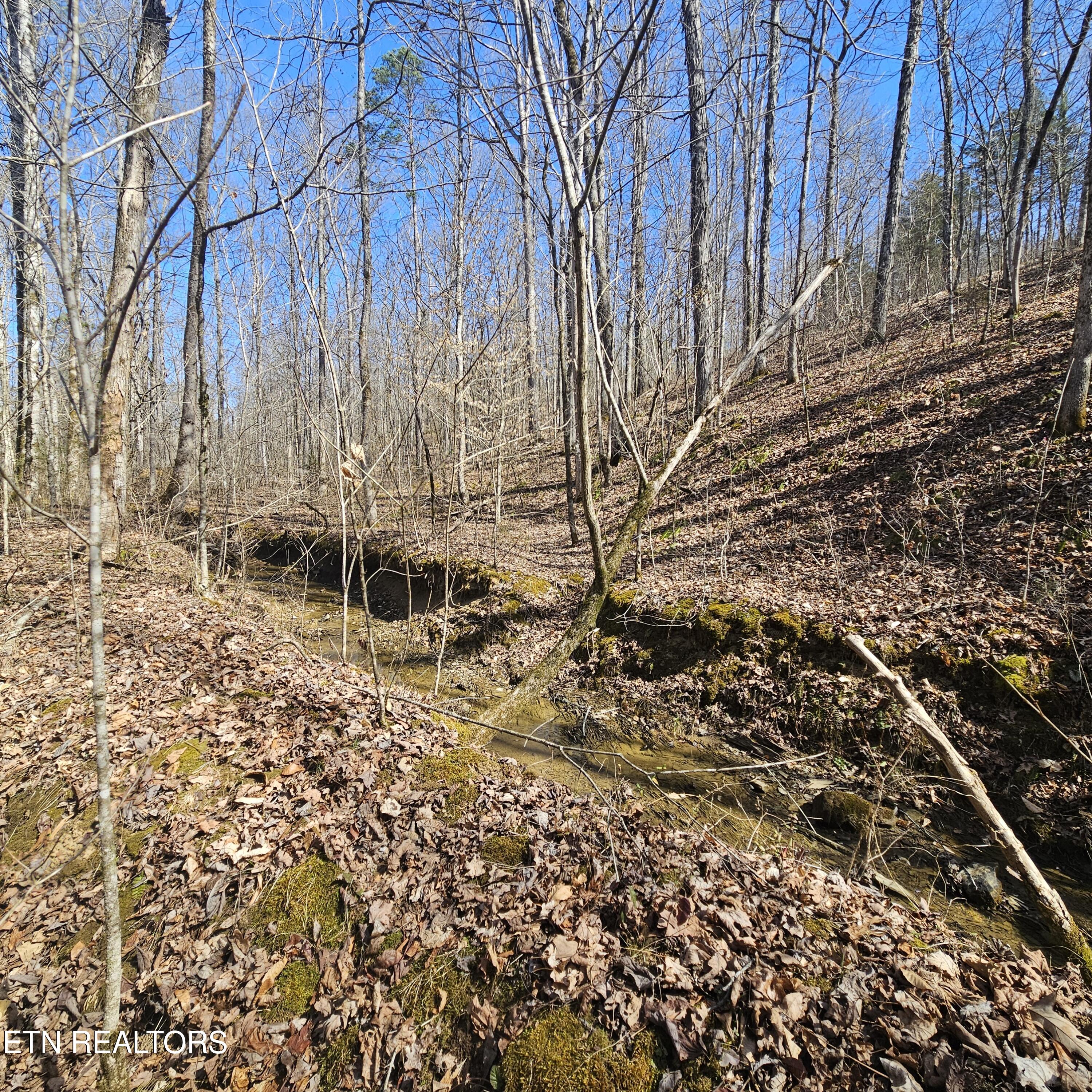 0 Lick Creek Road Tellico Plains TN 37385