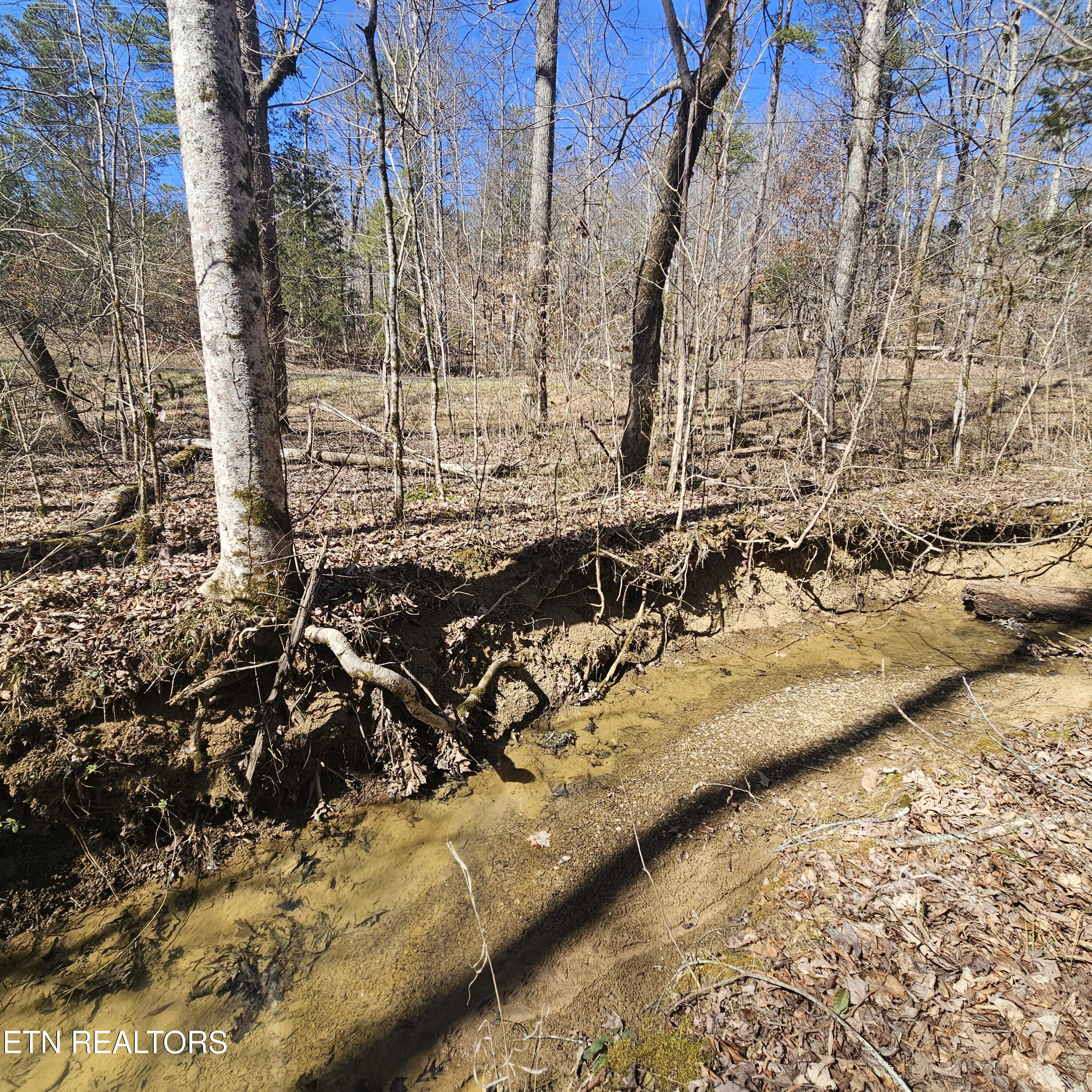 0 Lick Creek Road Tellico Plains TN 37385