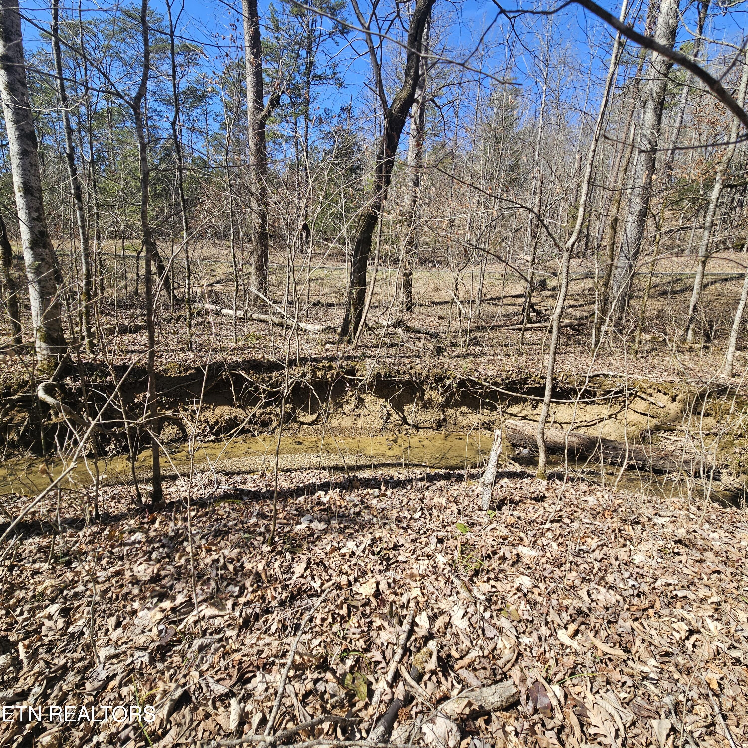 0 Lick Creek Road Tellico Plains TN 37385