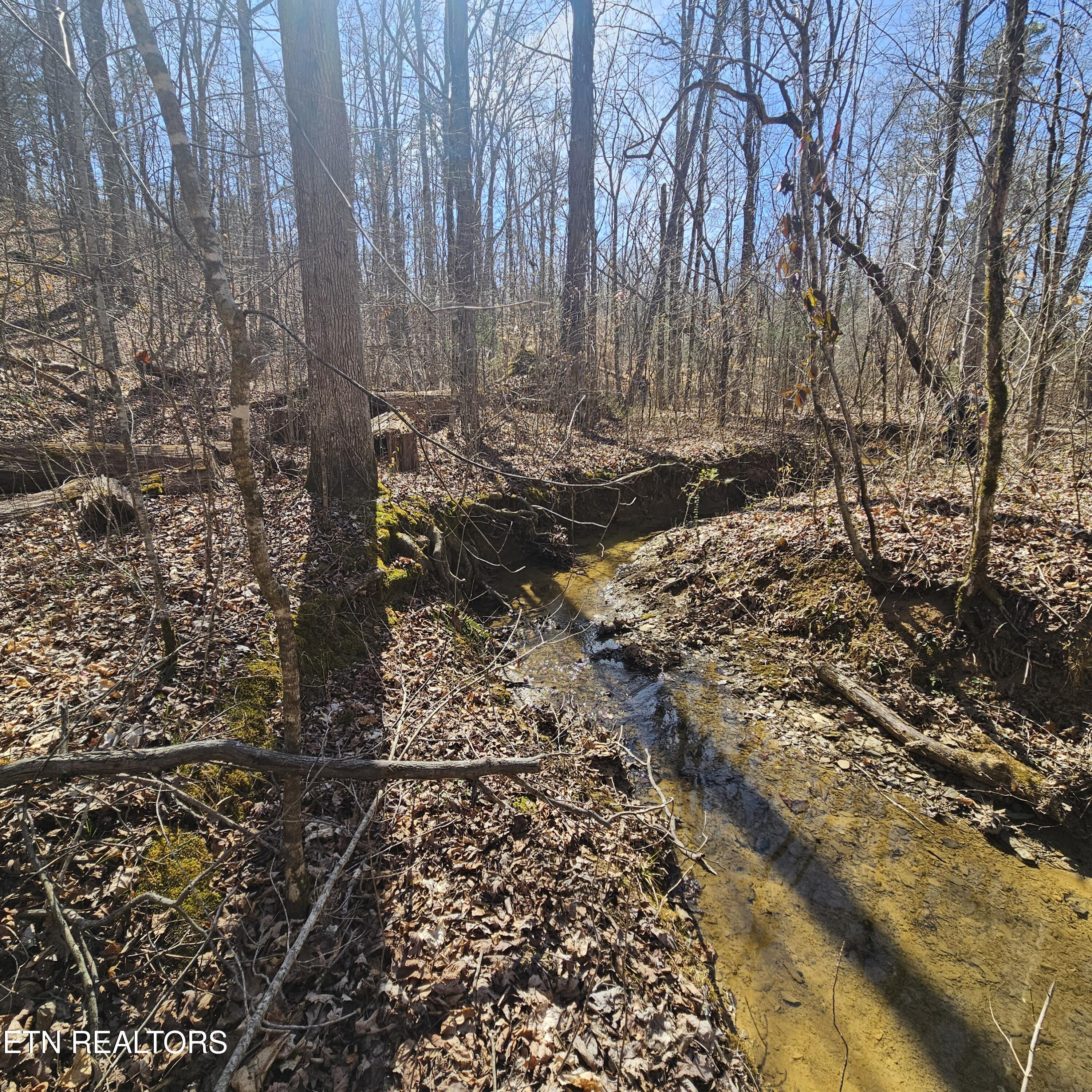 0 Lick Creek Road Tellico Plains TN 37385