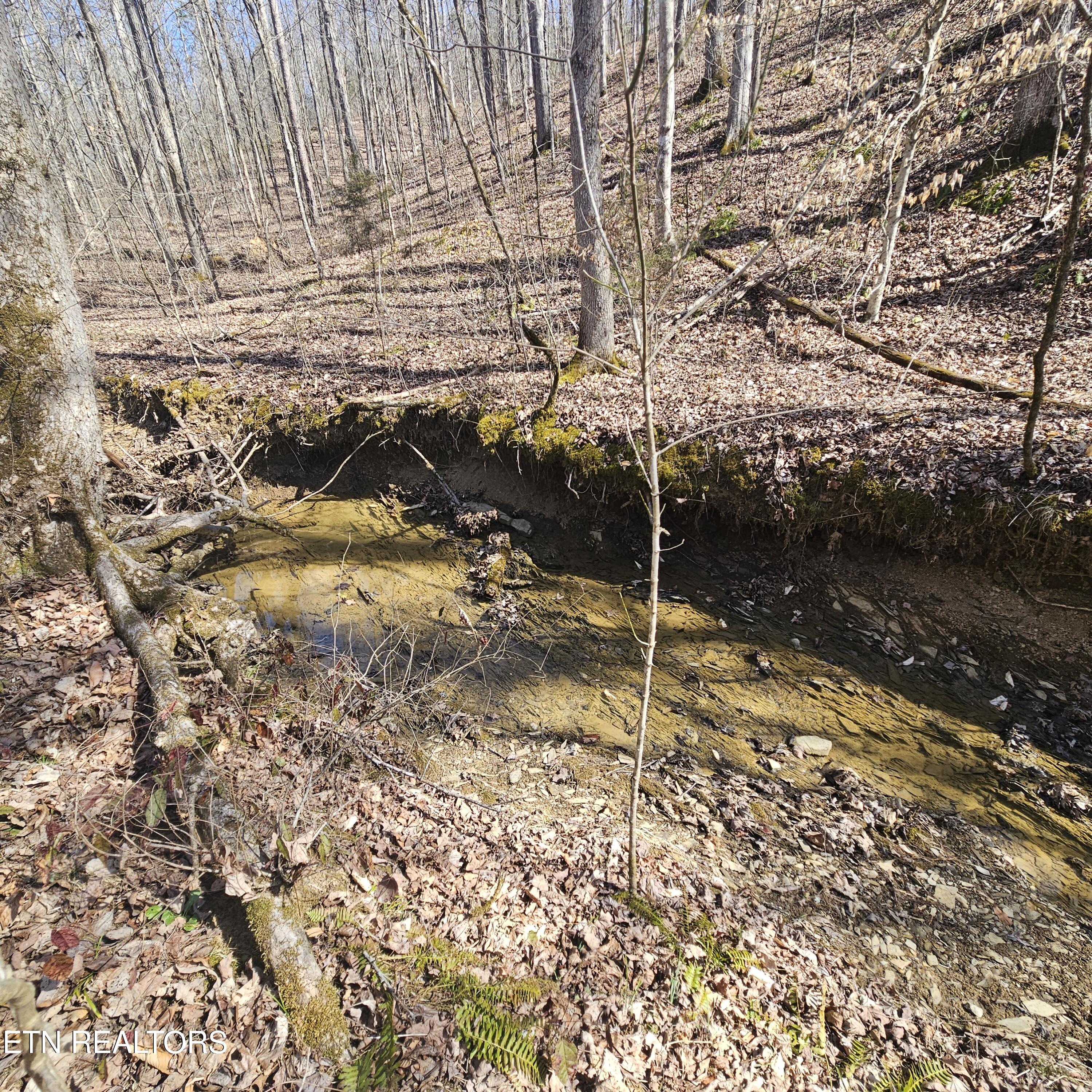 0 Lick Creek Road Tellico Plains TN 37385
