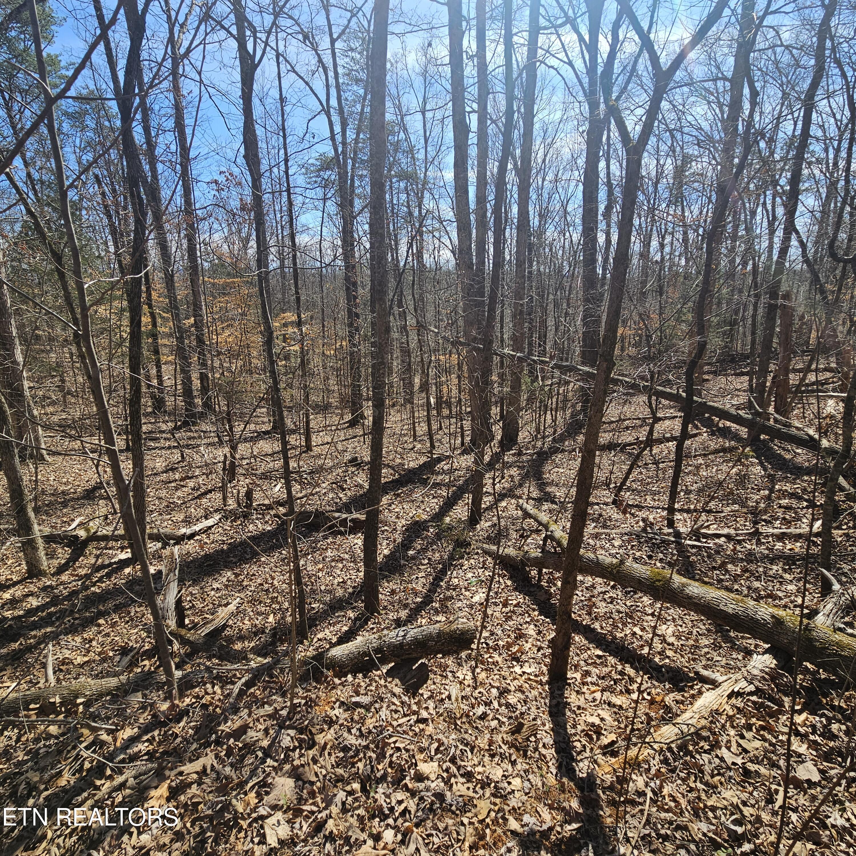 0 Lick Creek Road Tellico Plains TN 37385
