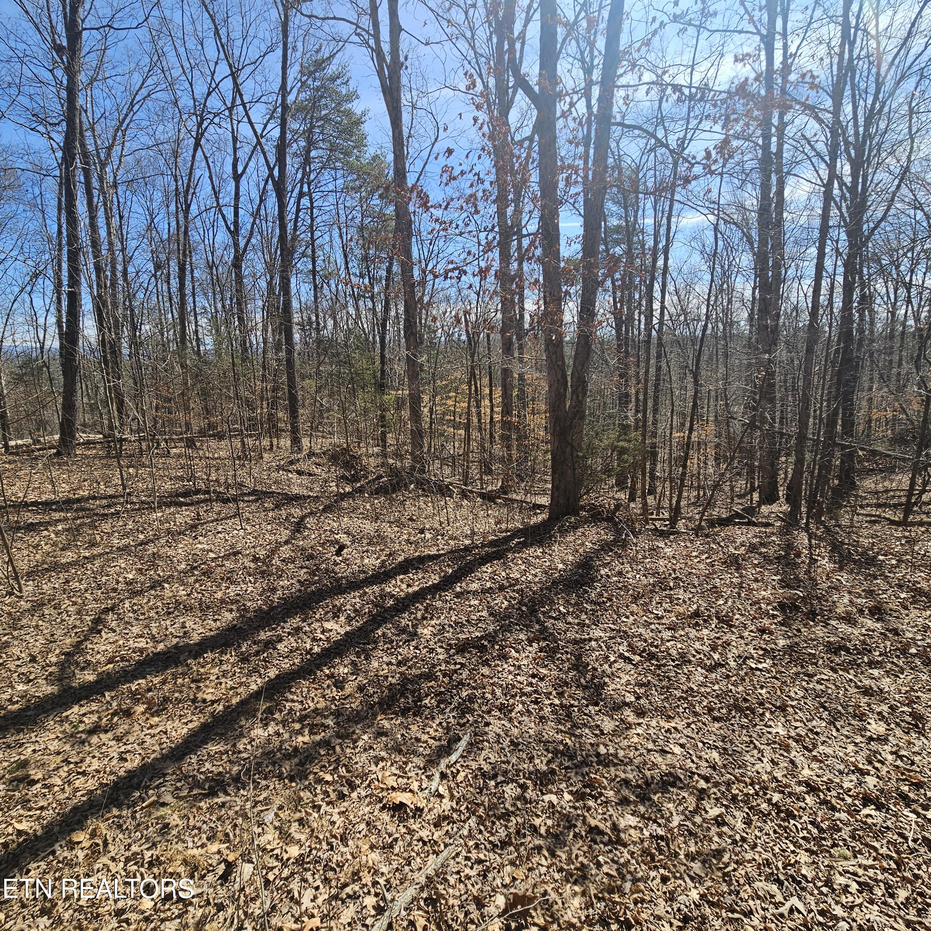 0 Lick Creek Road Tellico Plains TN 37385