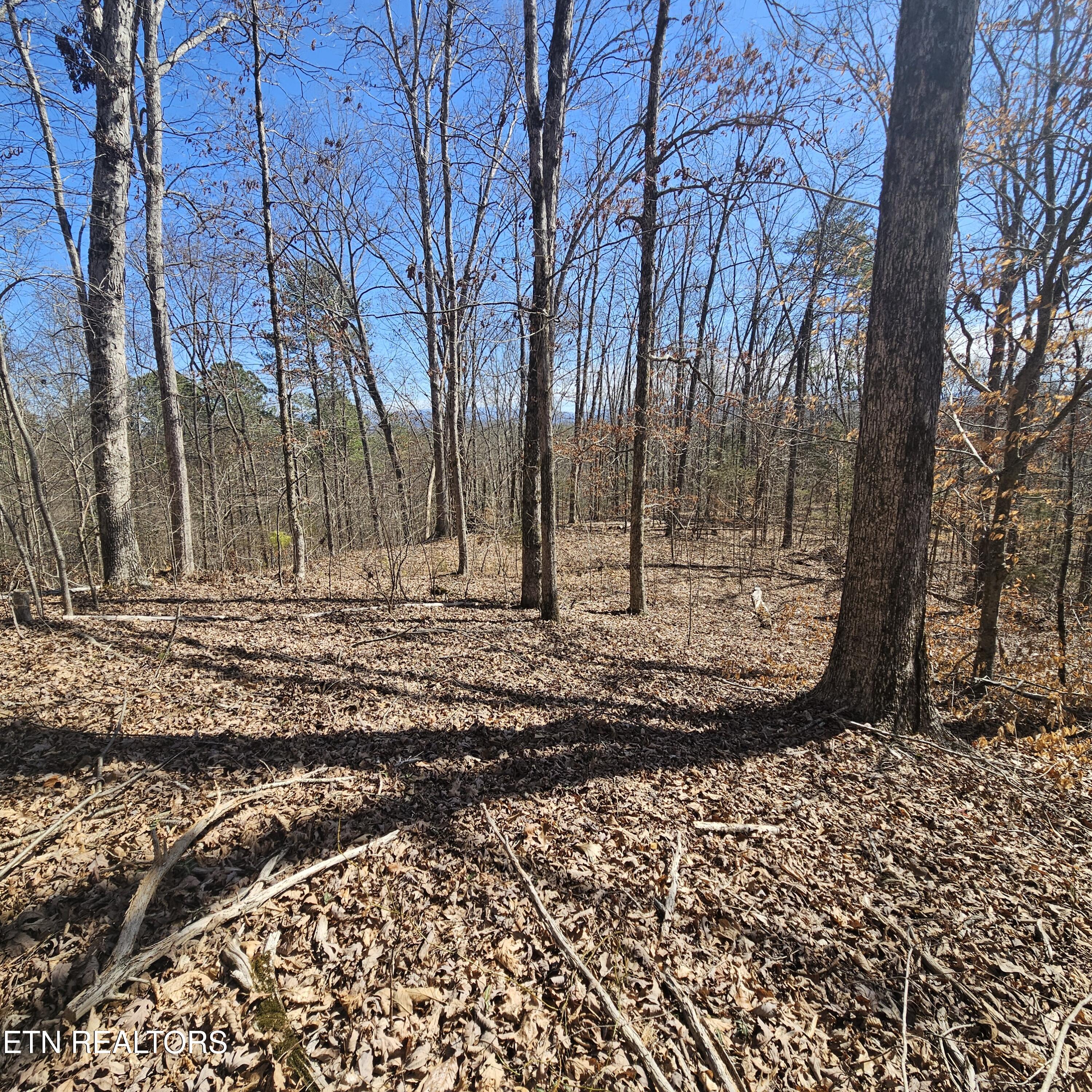 0 Lick Creek Road Tellico Plains TN 37385