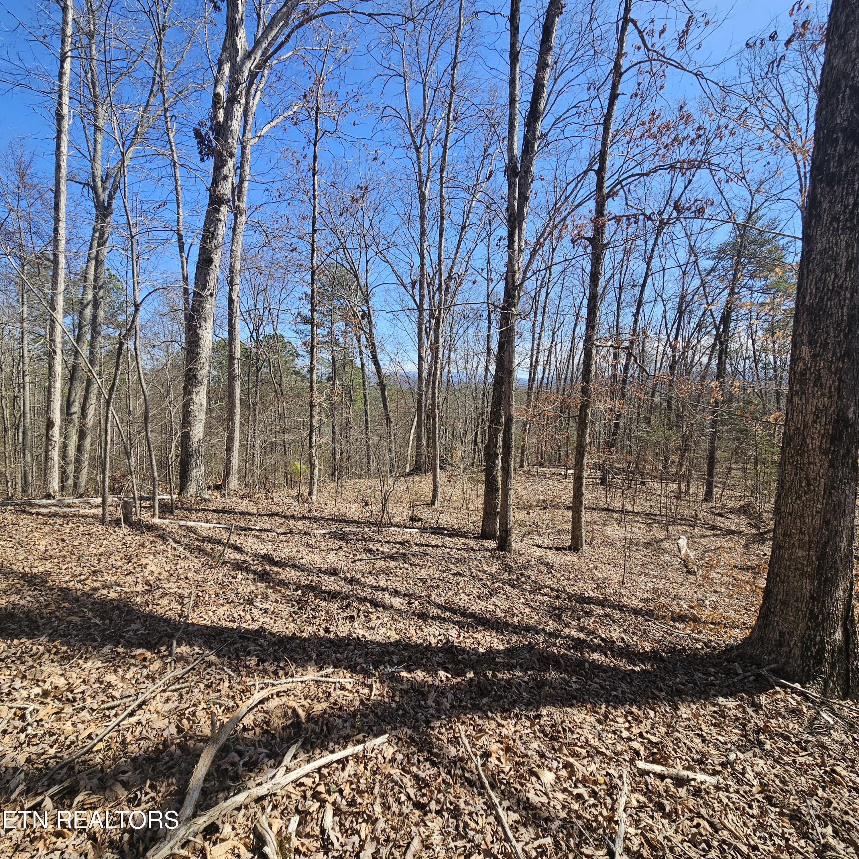 0 Lick Creek Road Tellico Plains TN 37385