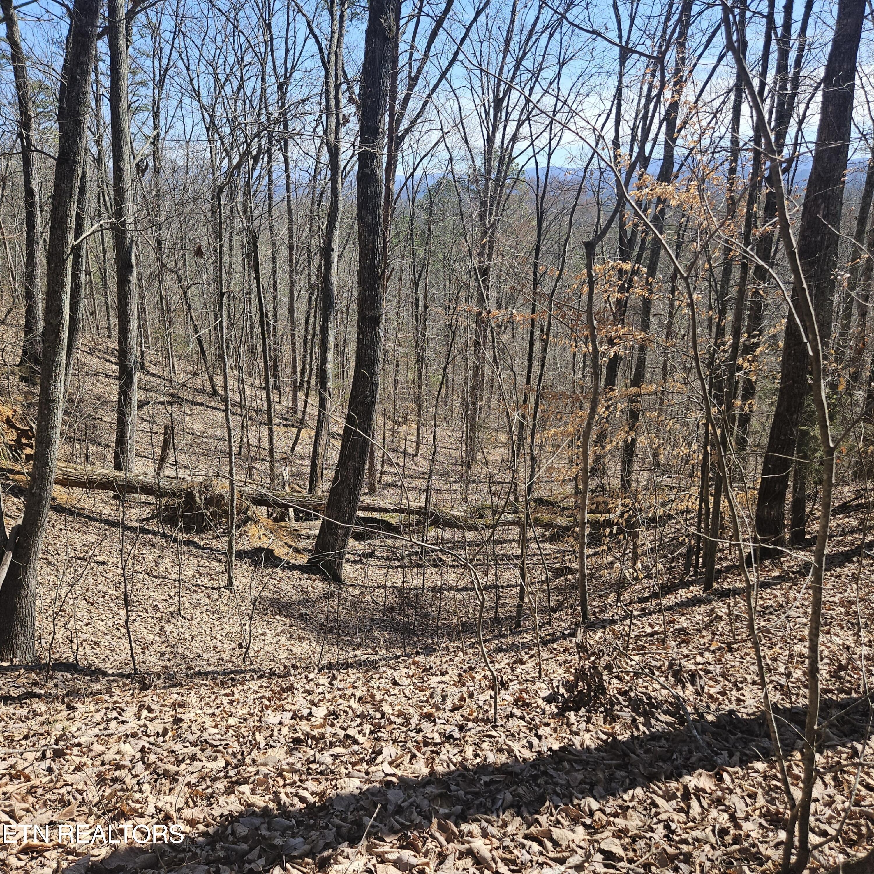 0 Lick Creek Road Tellico Plains TN 37385