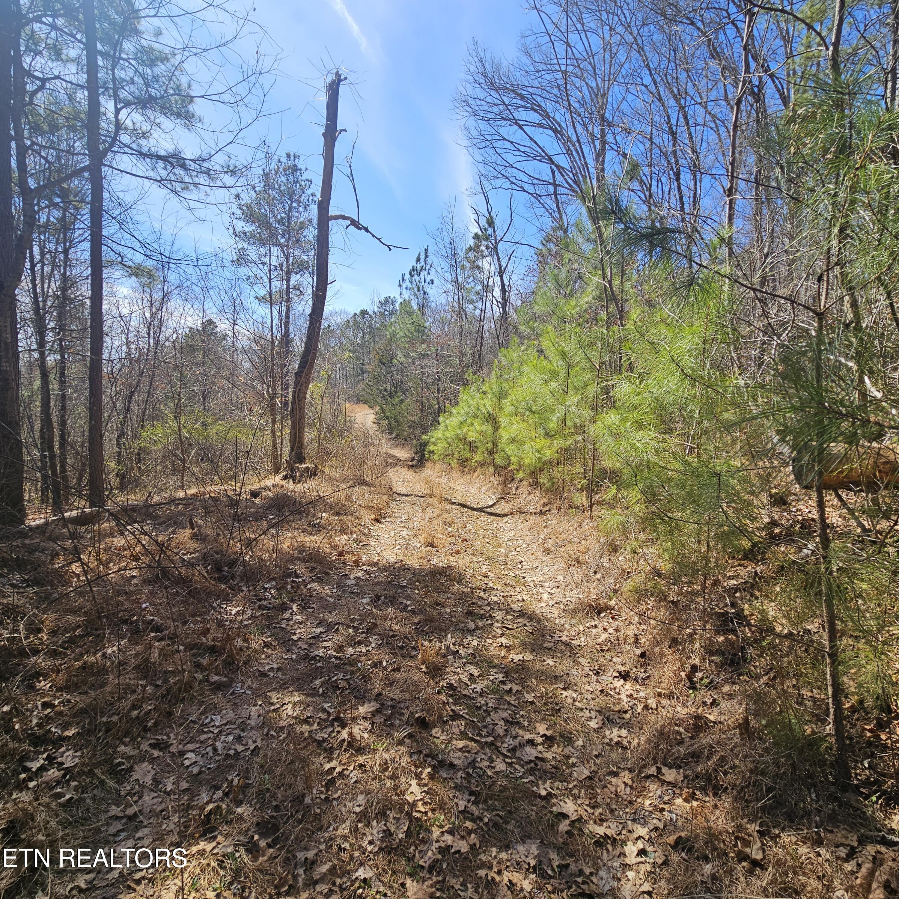 0 Lick Creek Road Tellico Plains TN 37385
